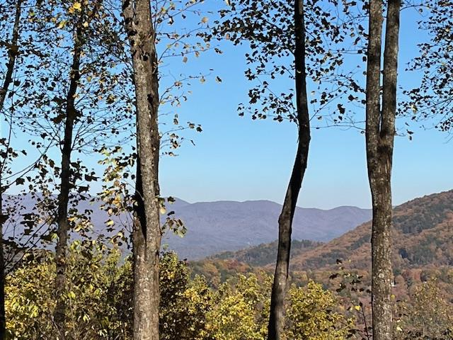 Ellijay, Georgia, 30536, United States, 4 Bedrooms Bedrooms, ,3 BathroomsBathrooms,Residential,For Sale,2003227