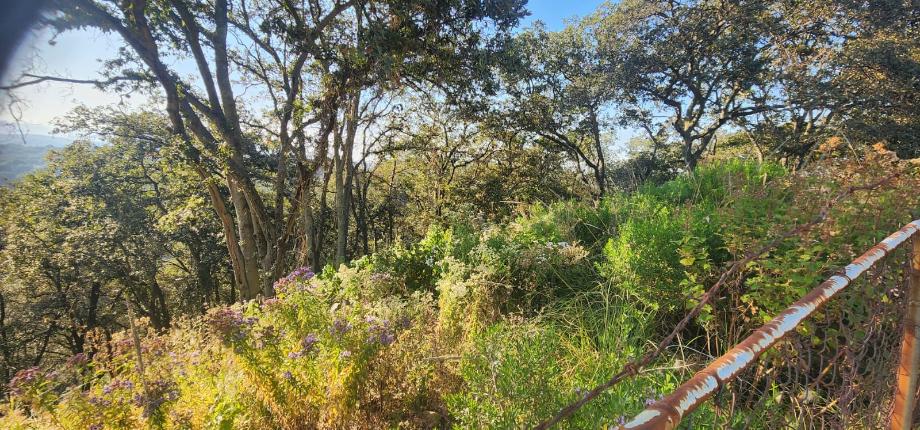 Atizapán de Zaragoza, Estado de méxico, 52938, Mexico, 1 Bedroom Bedrooms, ,Residential,For Sale,2000742