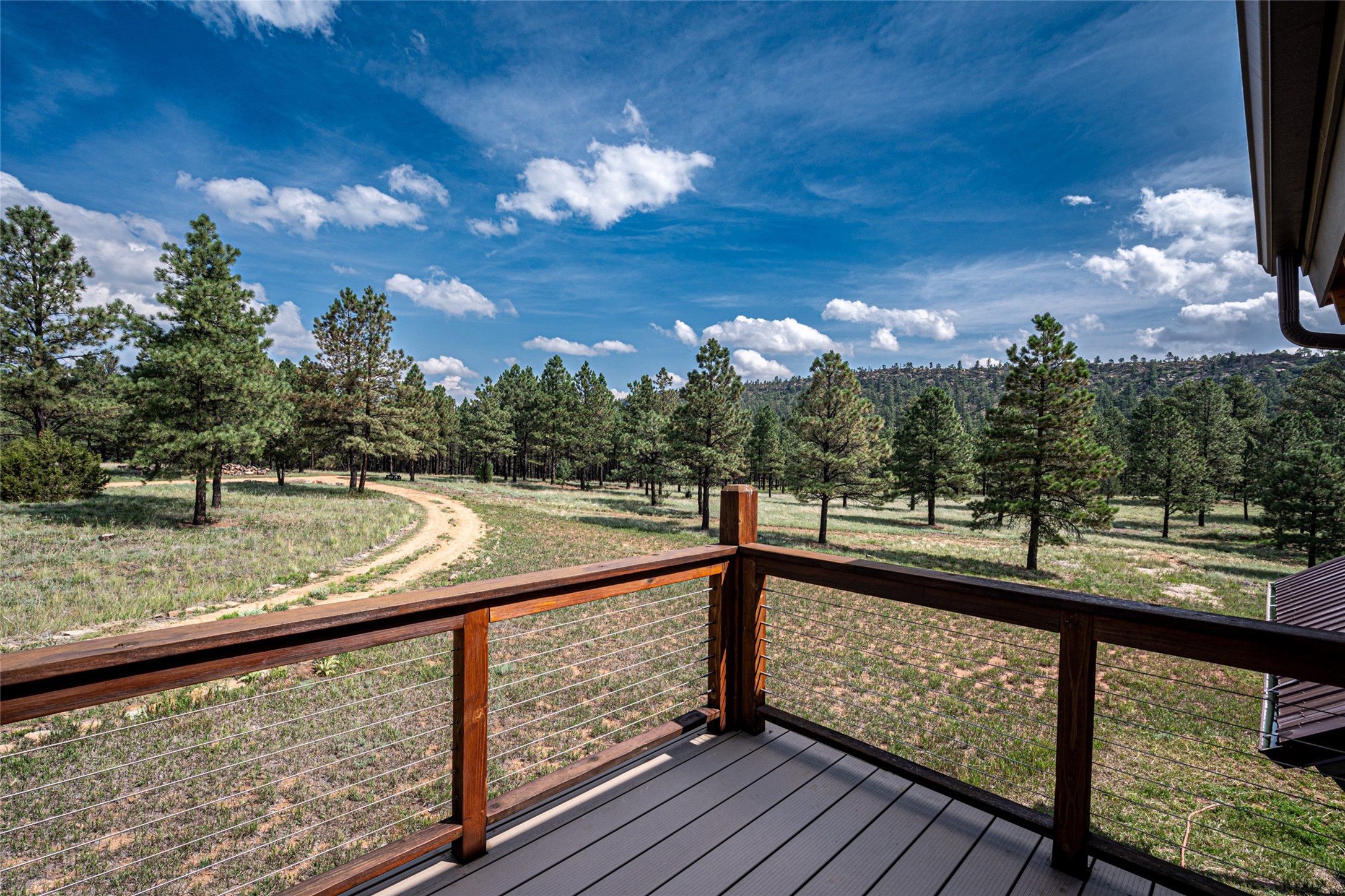  115 Blue Deer Ranch Road, B-109 - 物件實景