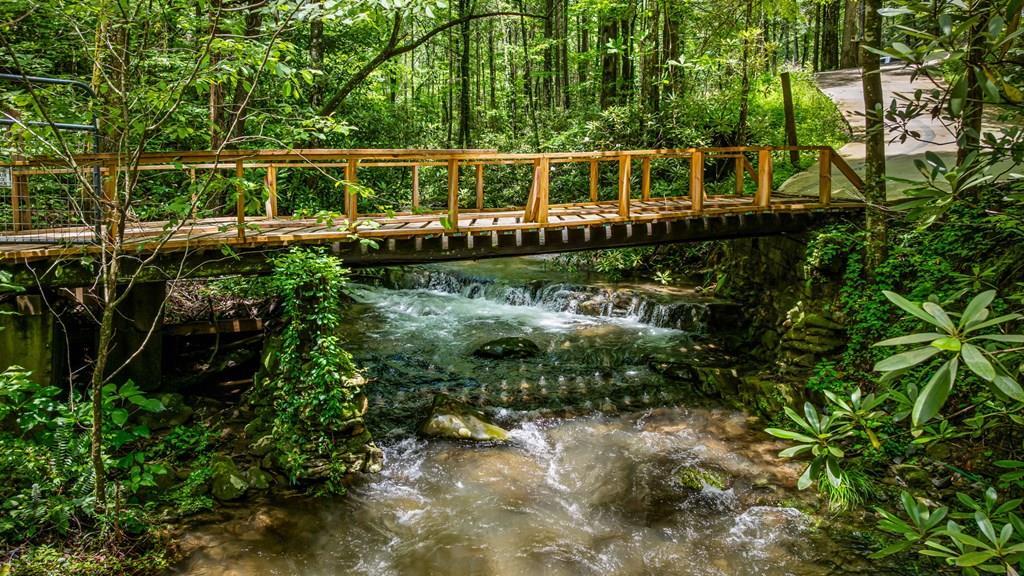 Ellijay, Georgia, 30540, United States, 5 Bedrooms Bedrooms, ,5 BathroomsBathrooms,Residential,For Sale,1868155