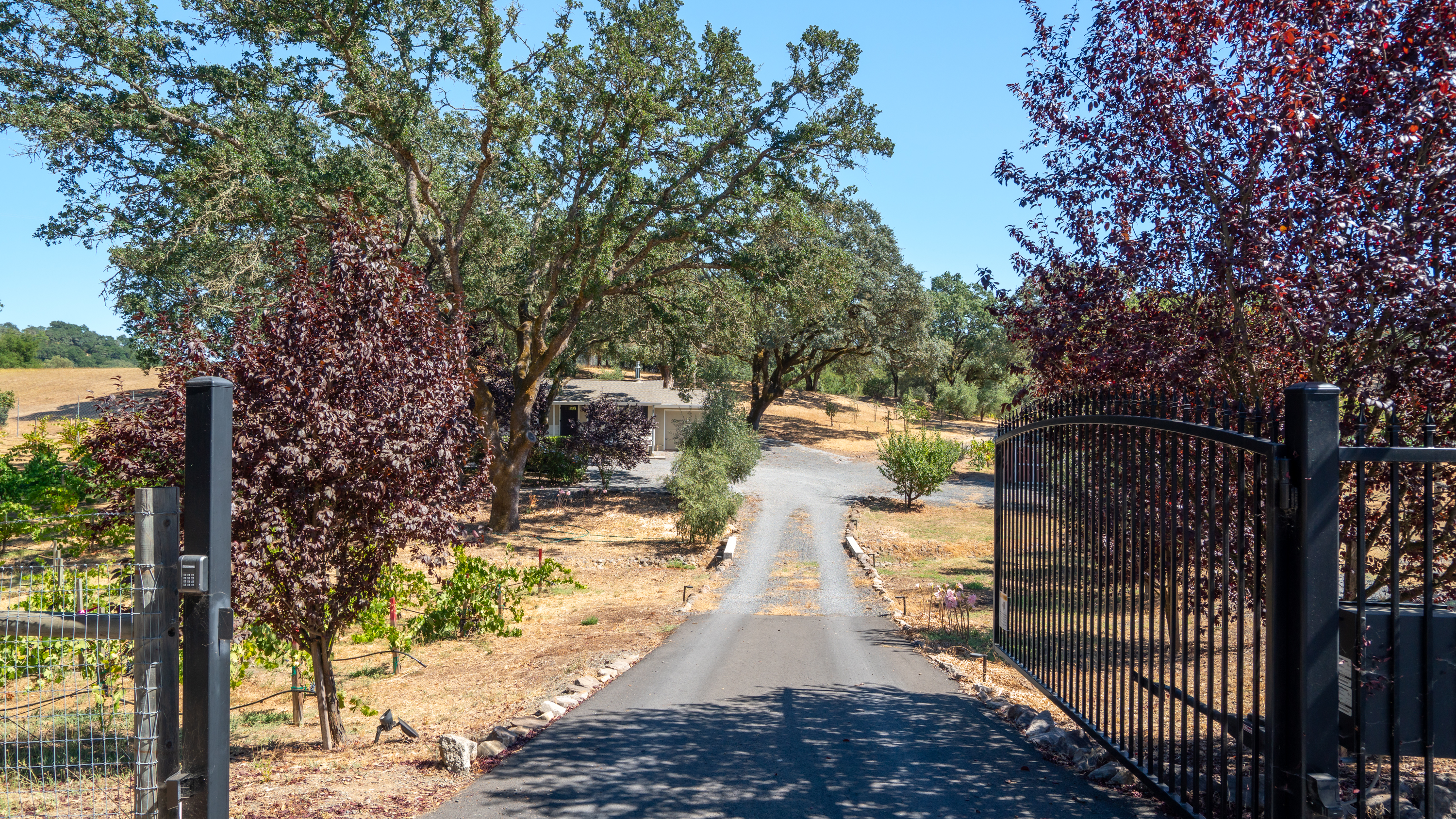  Rare Opportunity in Alexander Valley - 物件實景