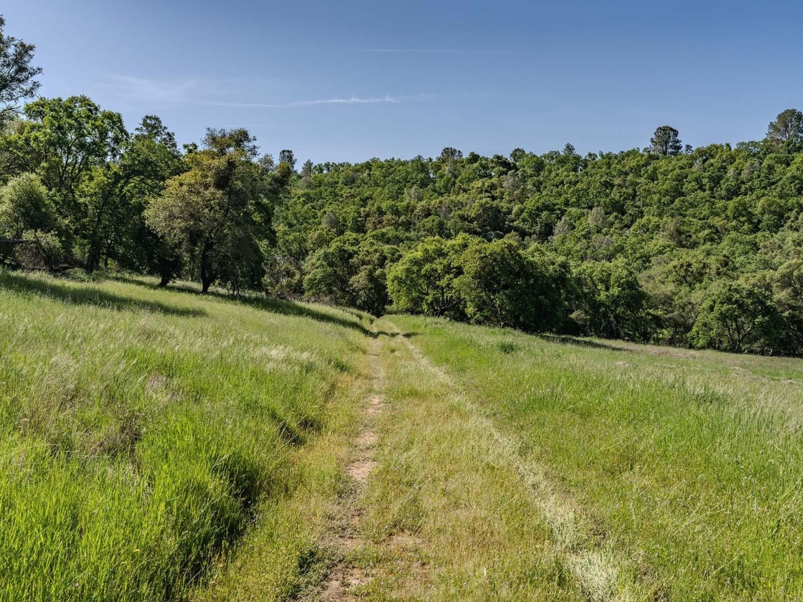  10865 Sunset Drive, Sutter Creek, CA 95685 - 物件實景