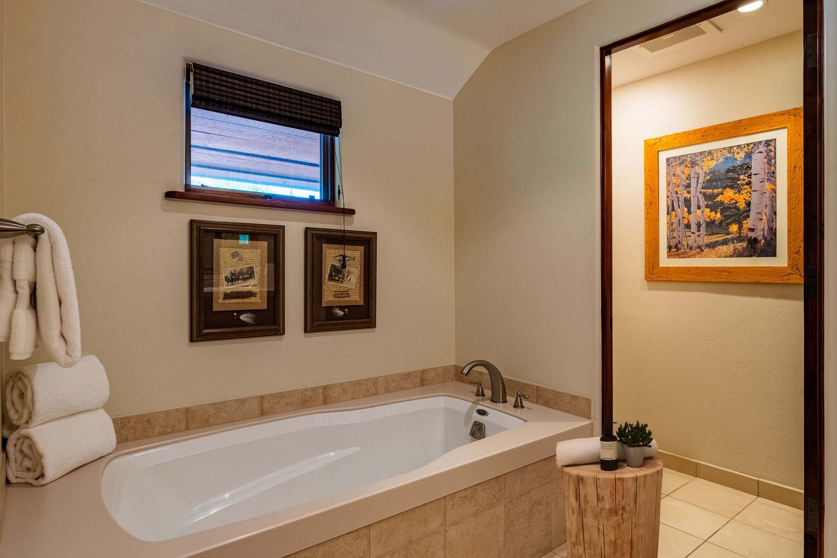  96 Timbers Club Court, Snowmass Village, CO, 81615 - 物件實景