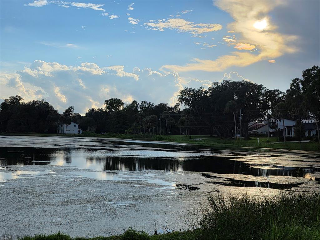 Oviedo, Florida, 32765, United States, 3 Bedrooms Bedrooms, ,2 BathroomsBathrooms,Residential,For Sale,1941778