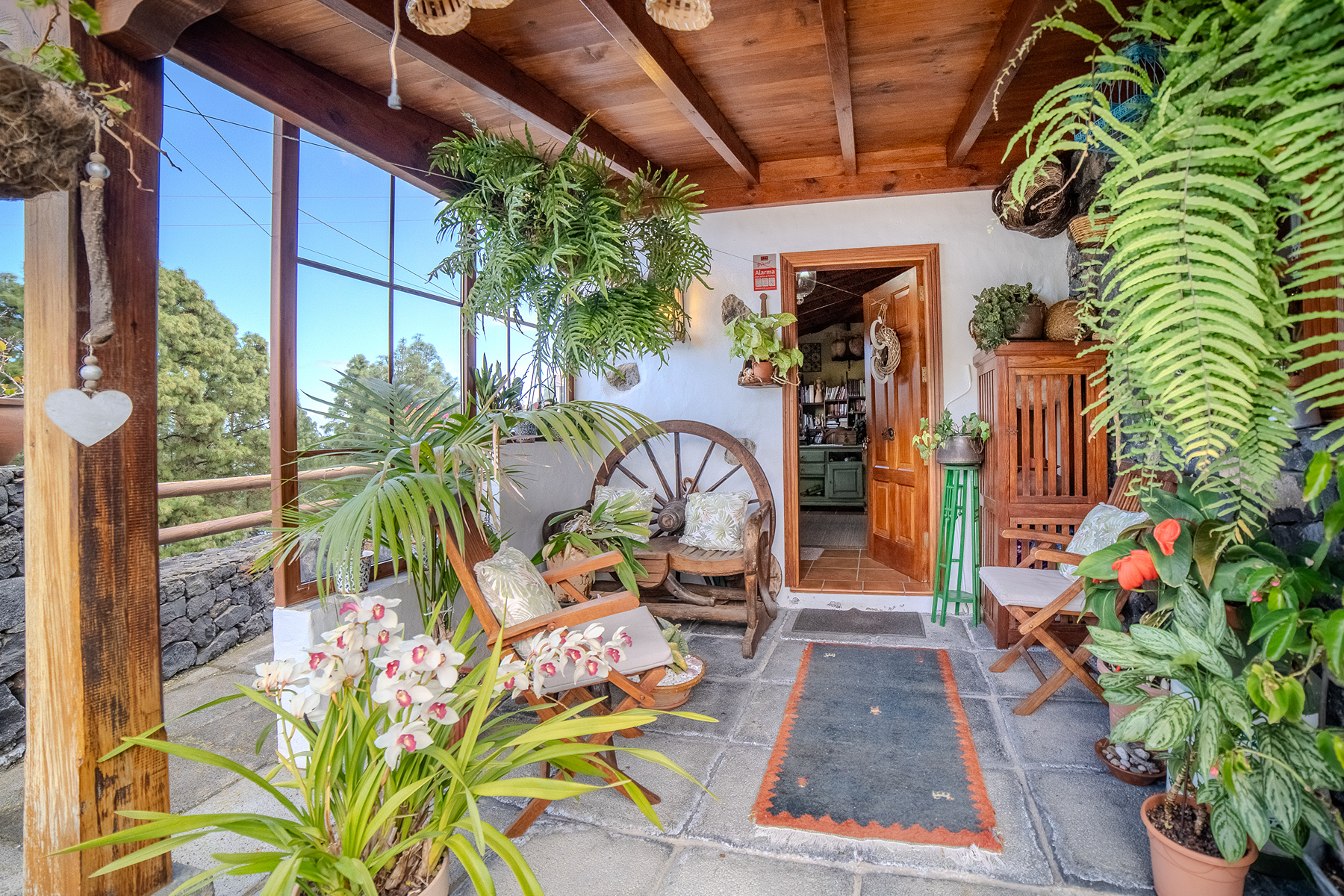 Rustic farmhouse in Icod de los Vinos, Tenerife - 物件實景