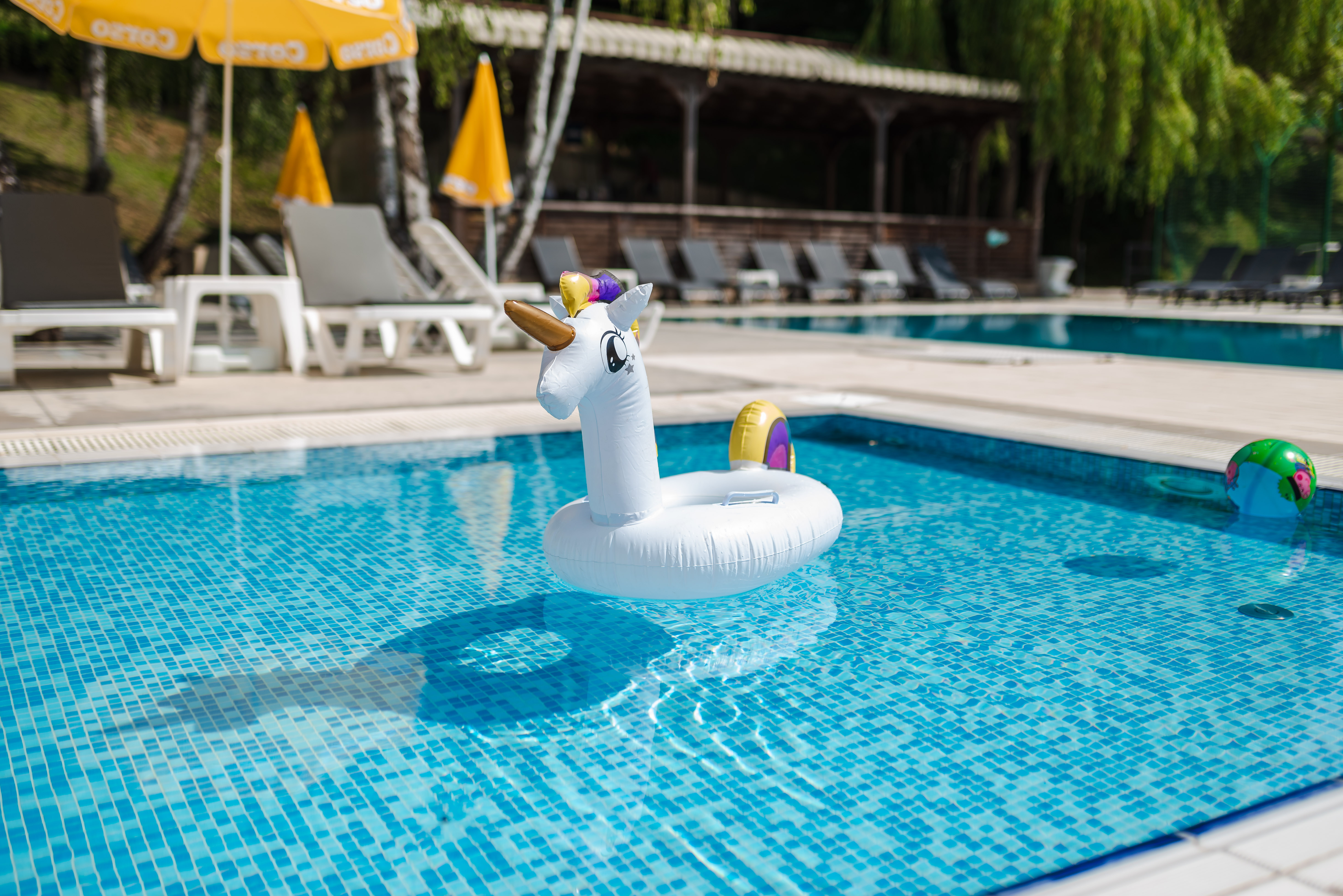  Wellness & Hospitality near Cluj-Napoca - 物件實景