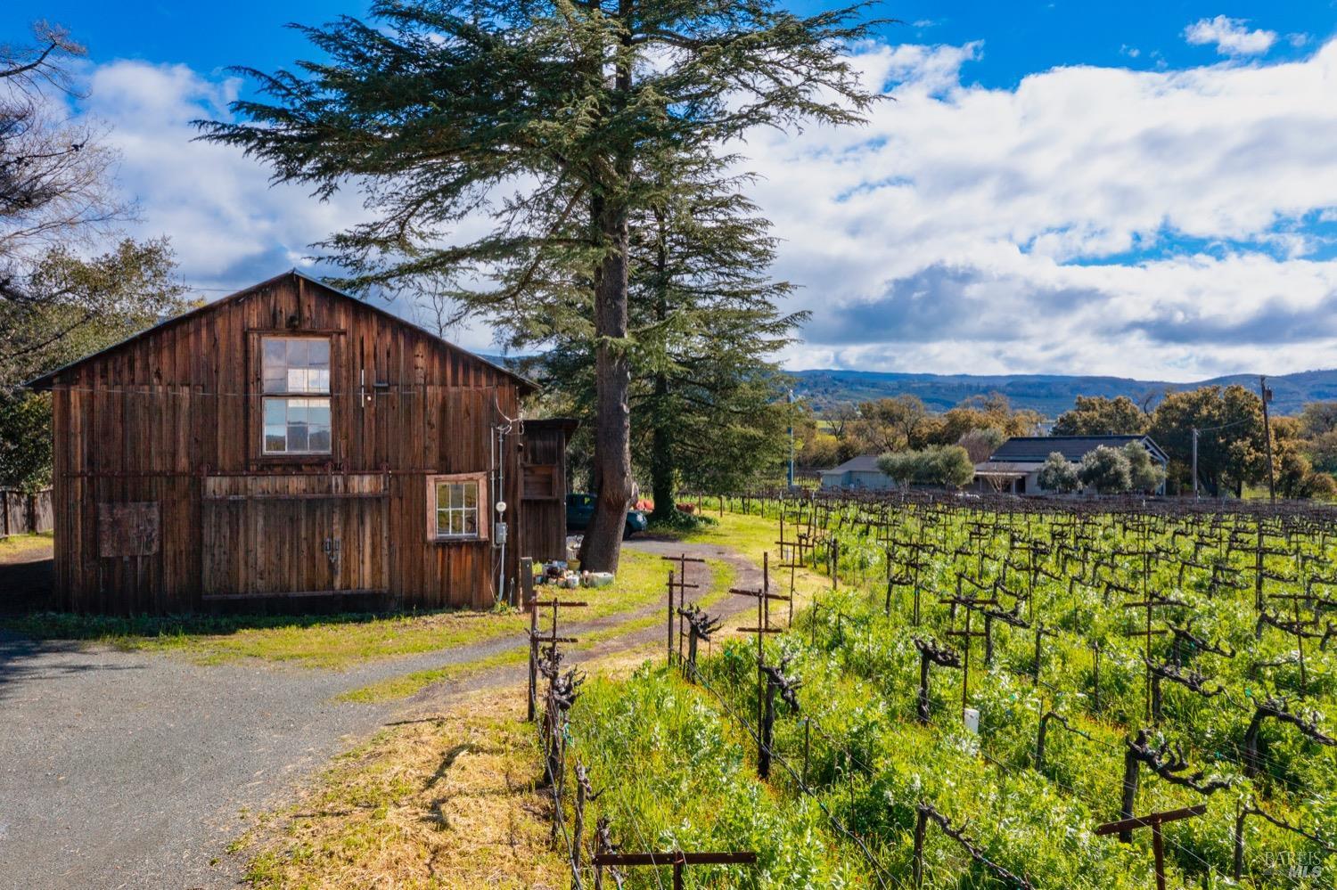Napa, California, 94558, United States, 8 Bedrooms Bedrooms, ,9 BathroomsBathrooms,Residential,For Sale,1729911