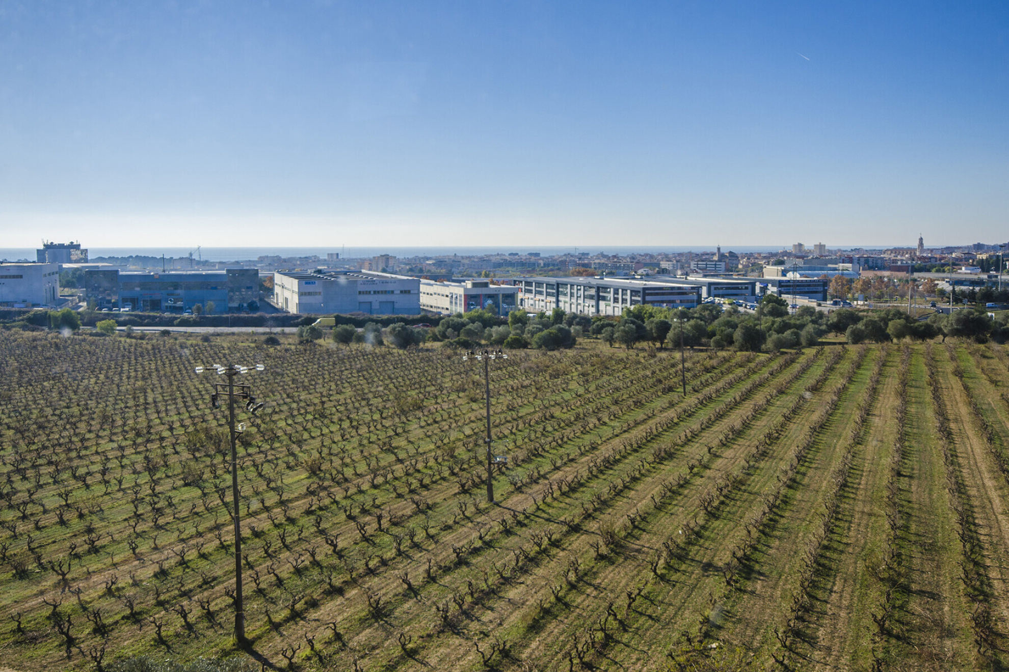  Masia with Vineyards and 3.13 Hectares in Vilanova i la Geltrú - 物件實景