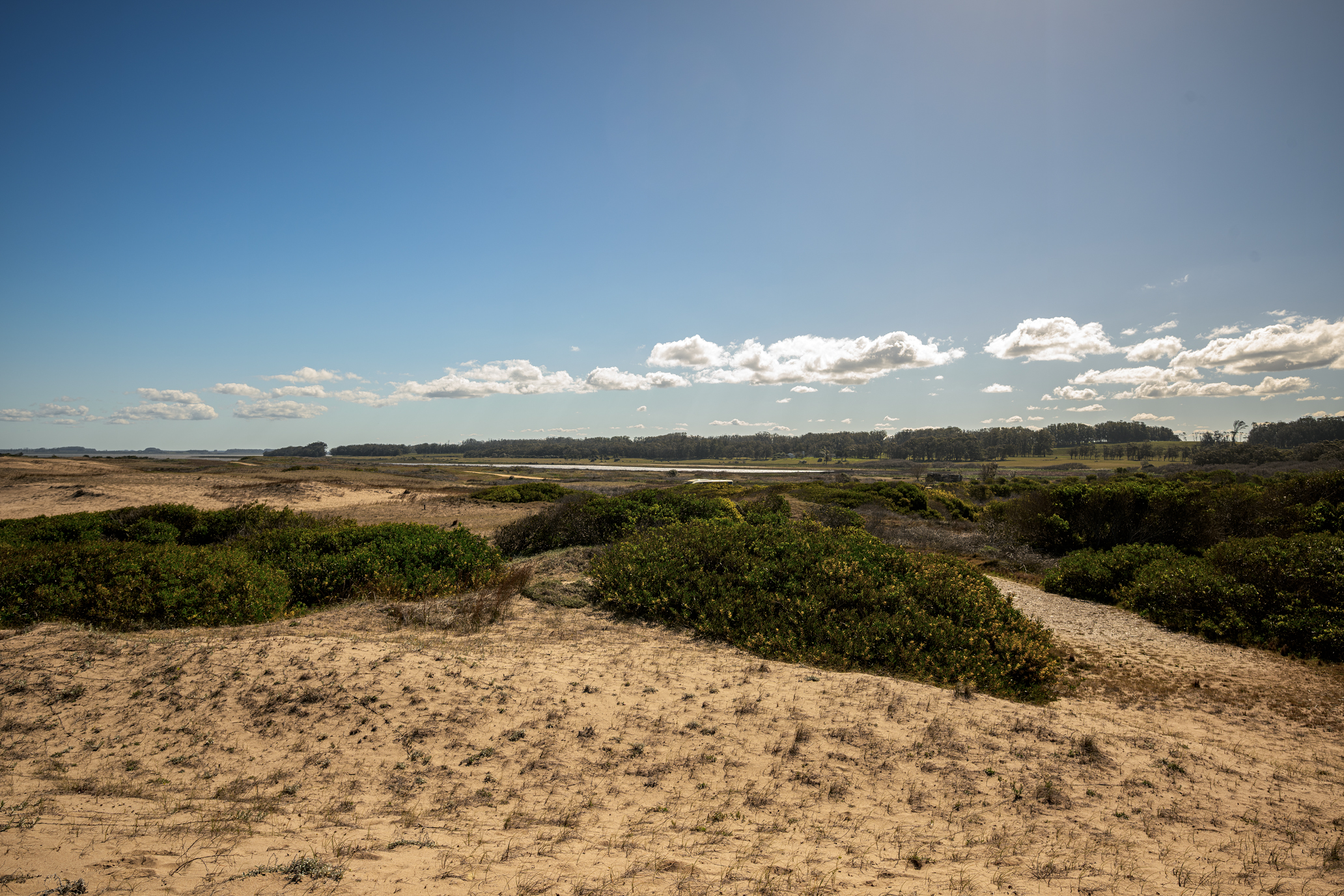  La Virazón  597-Hectare Oceanfront Estate in Rocha, Uruguay - 物件實景