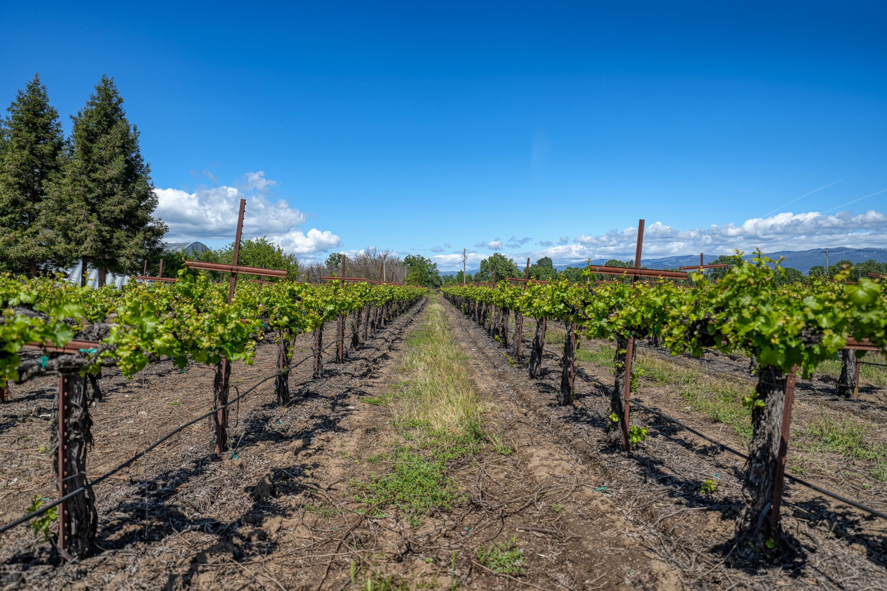  Lake County: The Place to Be - 物件實景