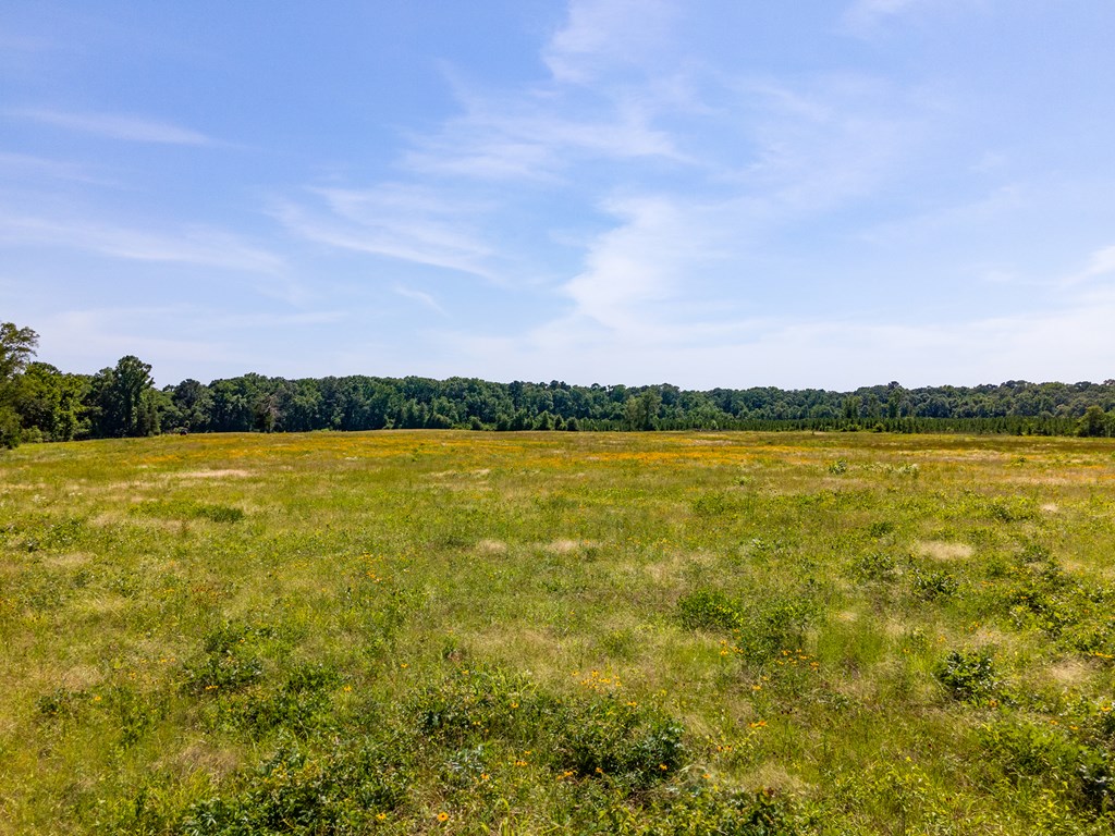 Pollok, Texas, 75969, United States, ,Residential,For Sale,1928088
