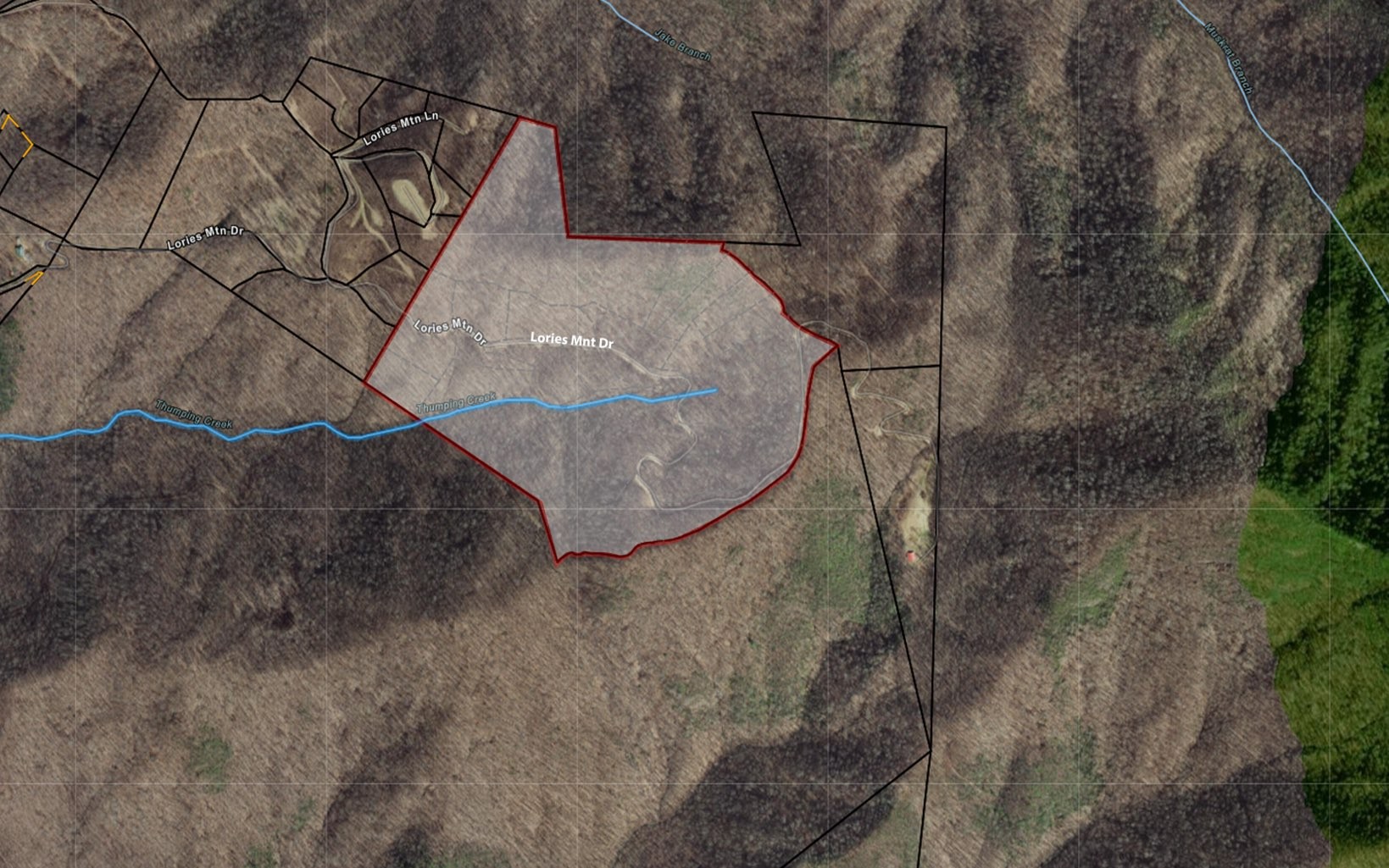 101ac Lori'S Mountain, Hayesville, North Carolina, 28904, United States, ,Residential,For Sale,101ac Lori'S Mountain,1304629