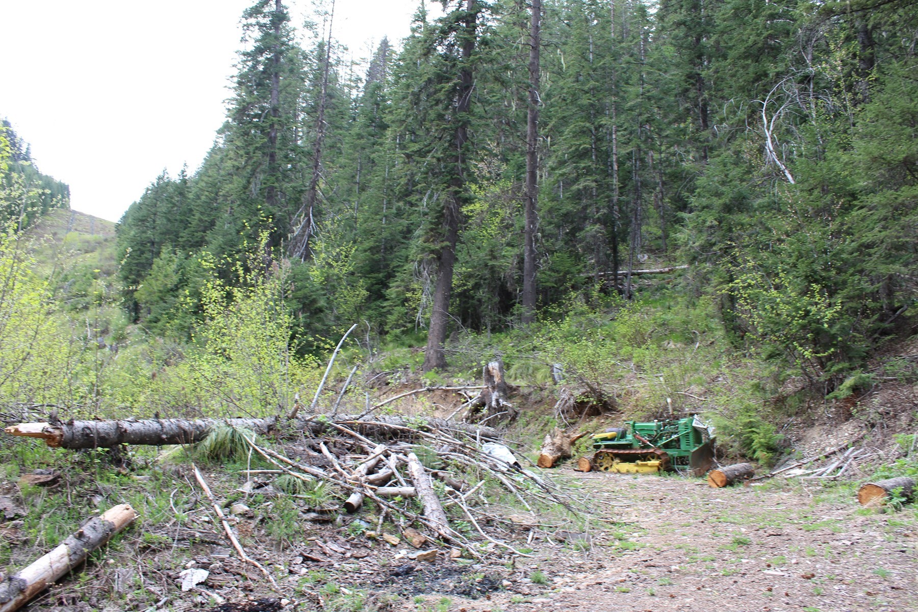  19a Daisy Gulch Road - 物件實景