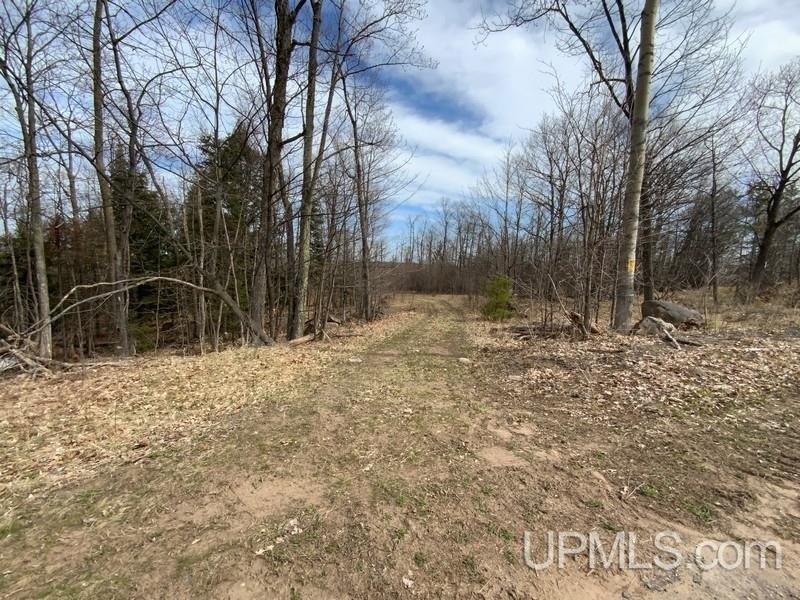 TBD W US 41, Marquette, Michigan, 49855, United States, ,Residential,For Sale,TBD W US 41,1601608