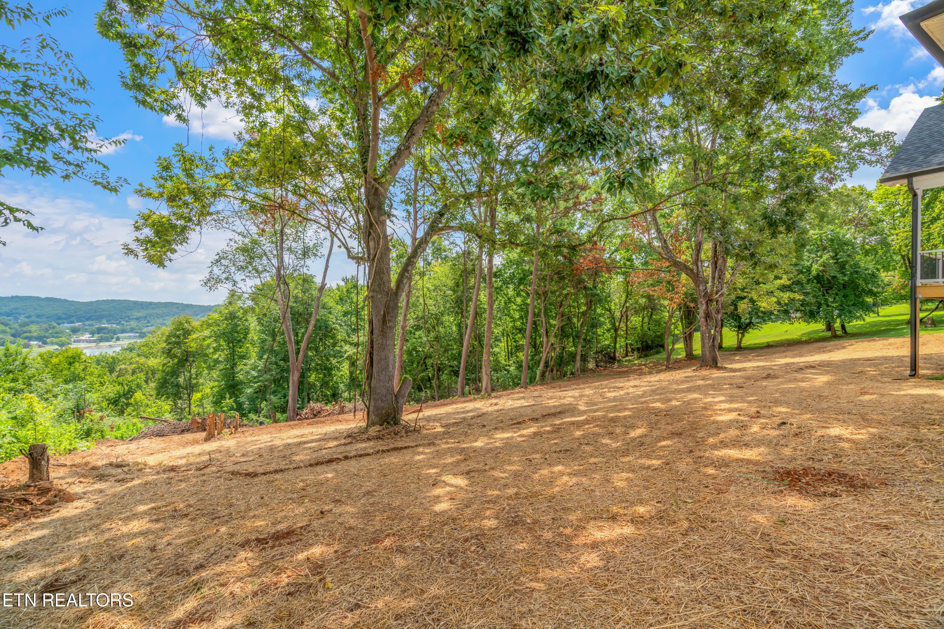 Kingston, Tennessee, 37763, United States, 3 Bedrooms Bedrooms, ,2 BathroomsBathrooms,Residential,For Sale,1907401