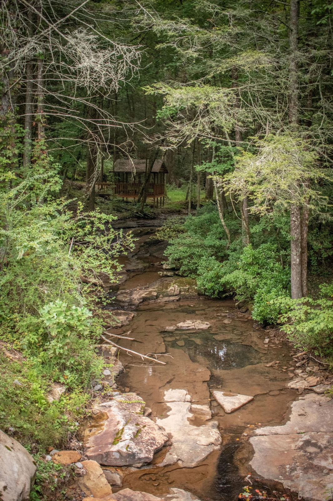 Dunlap, Tennessee, 37327, United States, 3 Bedrooms Bedrooms, ,3 BathroomsBathrooms,Residential,For Sale,1976318