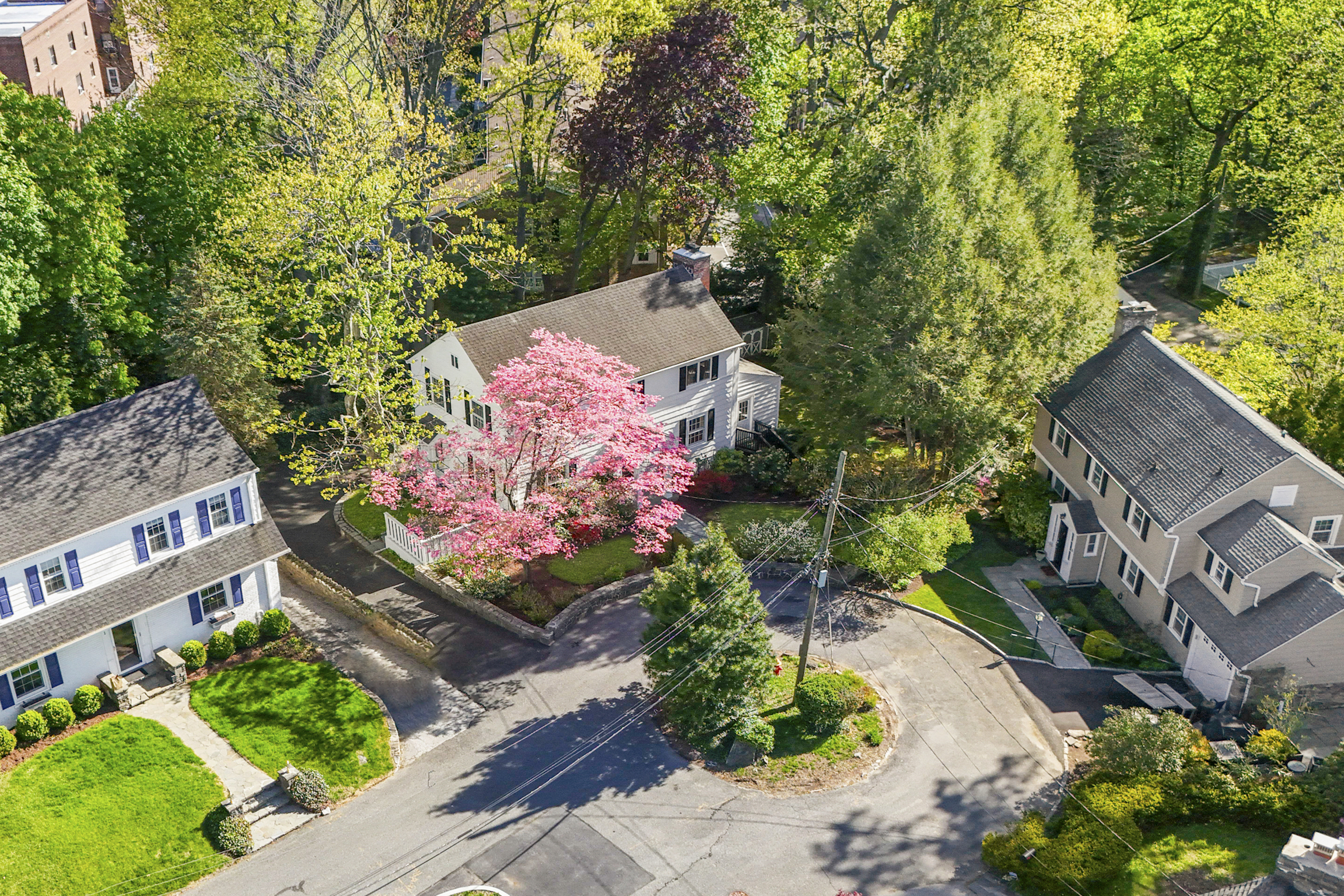  Beauty in Bronxville - 物件實景
