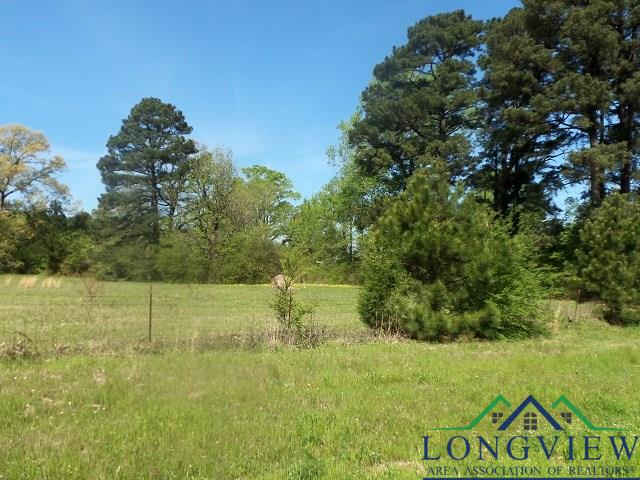 TBD U.S. HWY. 259 N., Kilgore, Texas, 75662, United States, ,Land,For Sale,TBD U.S. HWY. 259 N.,1542568
