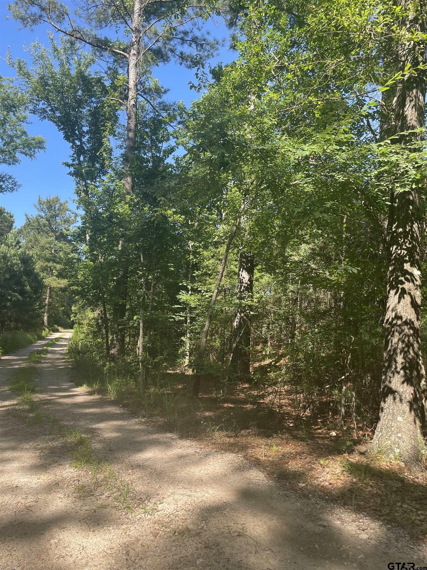 Pittsburg, Texas, 75686, United States, 3 Bedrooms Bedrooms, ,3 BathroomsBathrooms,Residential,For Sale,1974694