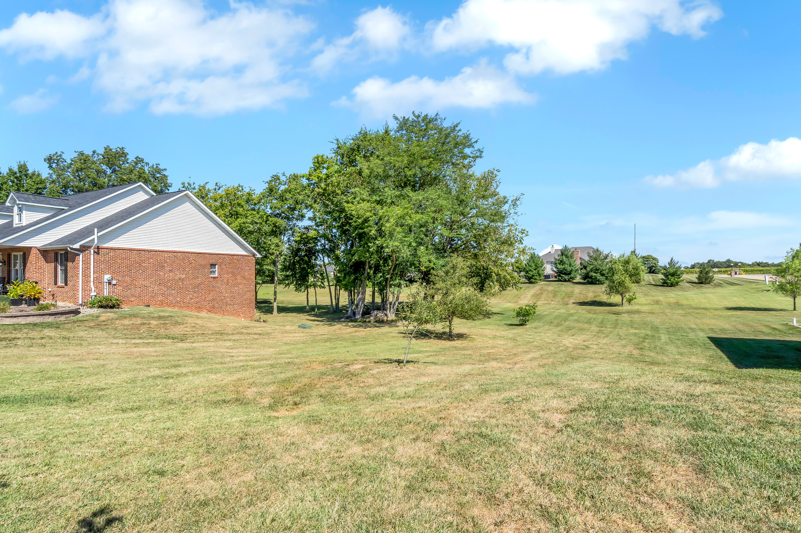 Waterloo, Illinois, 62298, United States, 5 Bedrooms Bedrooms, ,4 BathroomsBathrooms,Residential,For Sale,1978838
