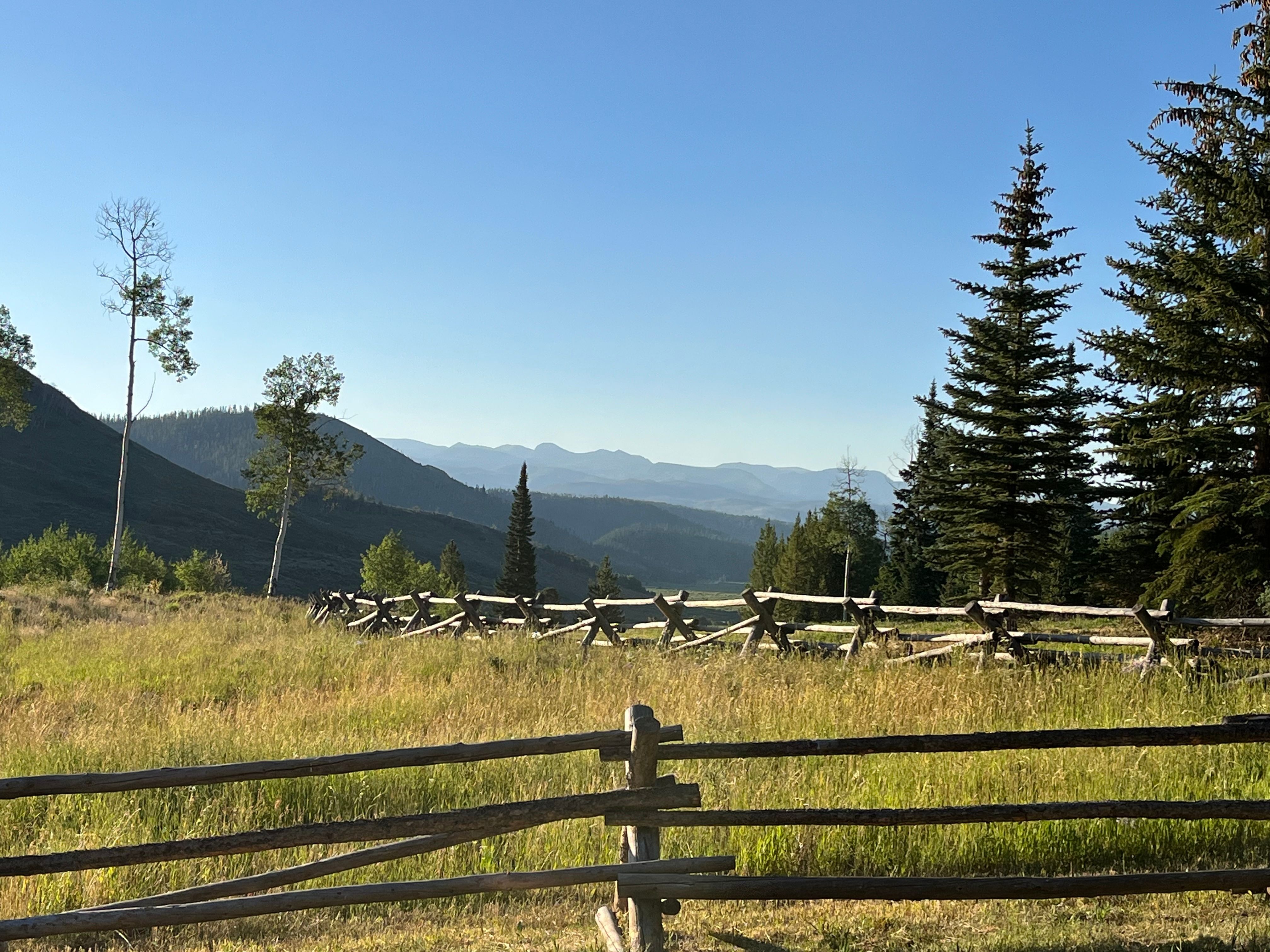  59205 Button Willow Drive, Clark, CO, 80428 - 物件實景