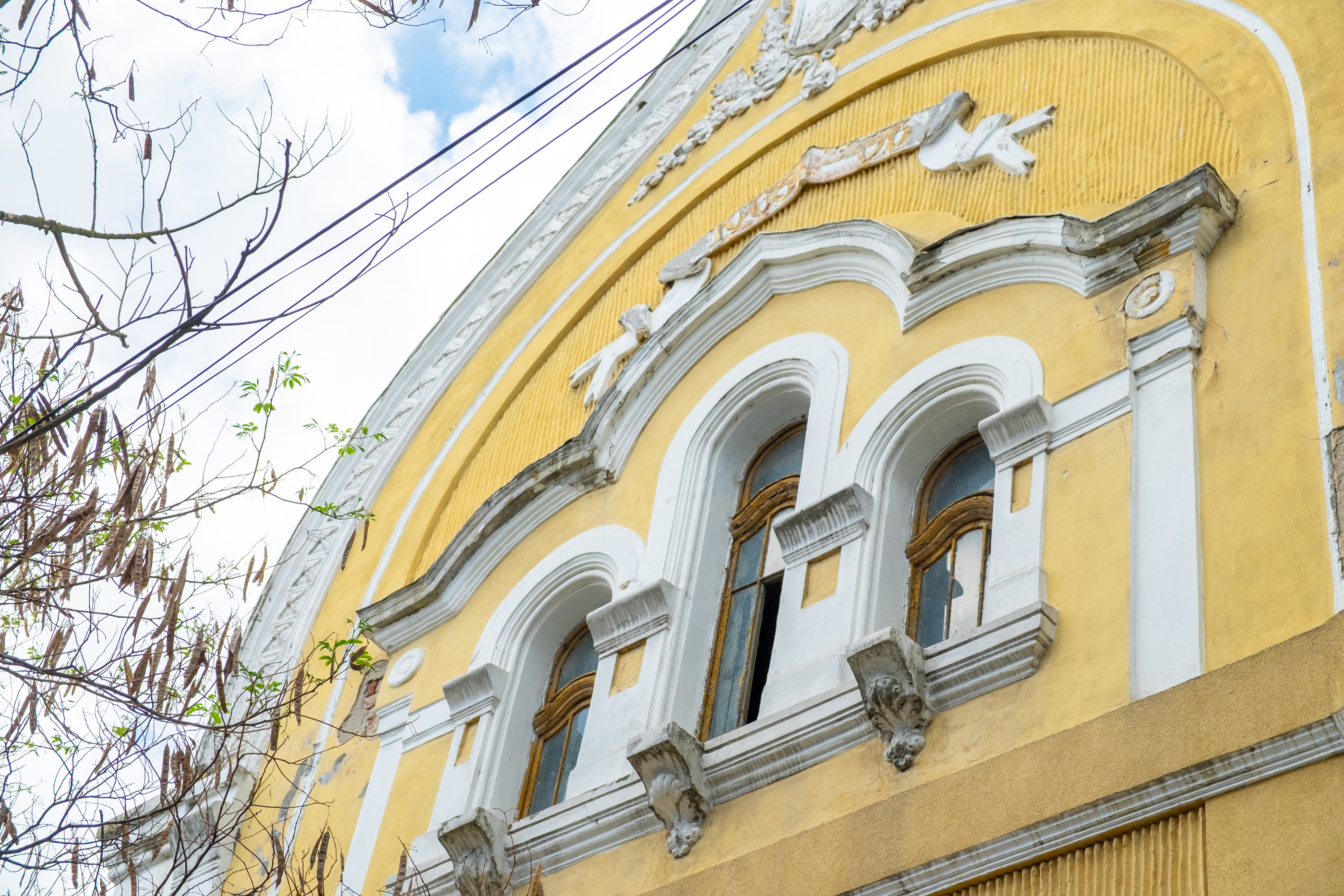  Ferch Manor - History and Tradition near Timioara - 物件實景