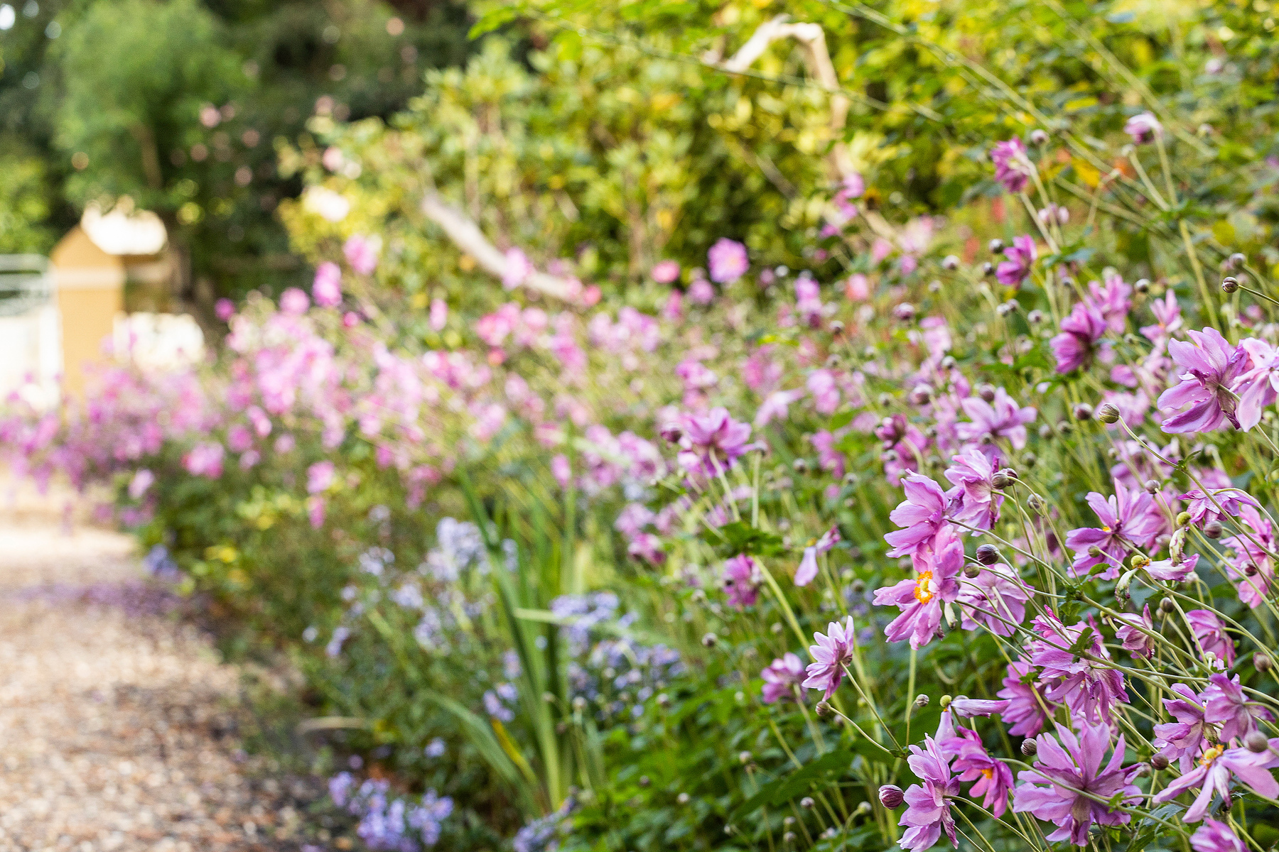  Redwood - 物件實景