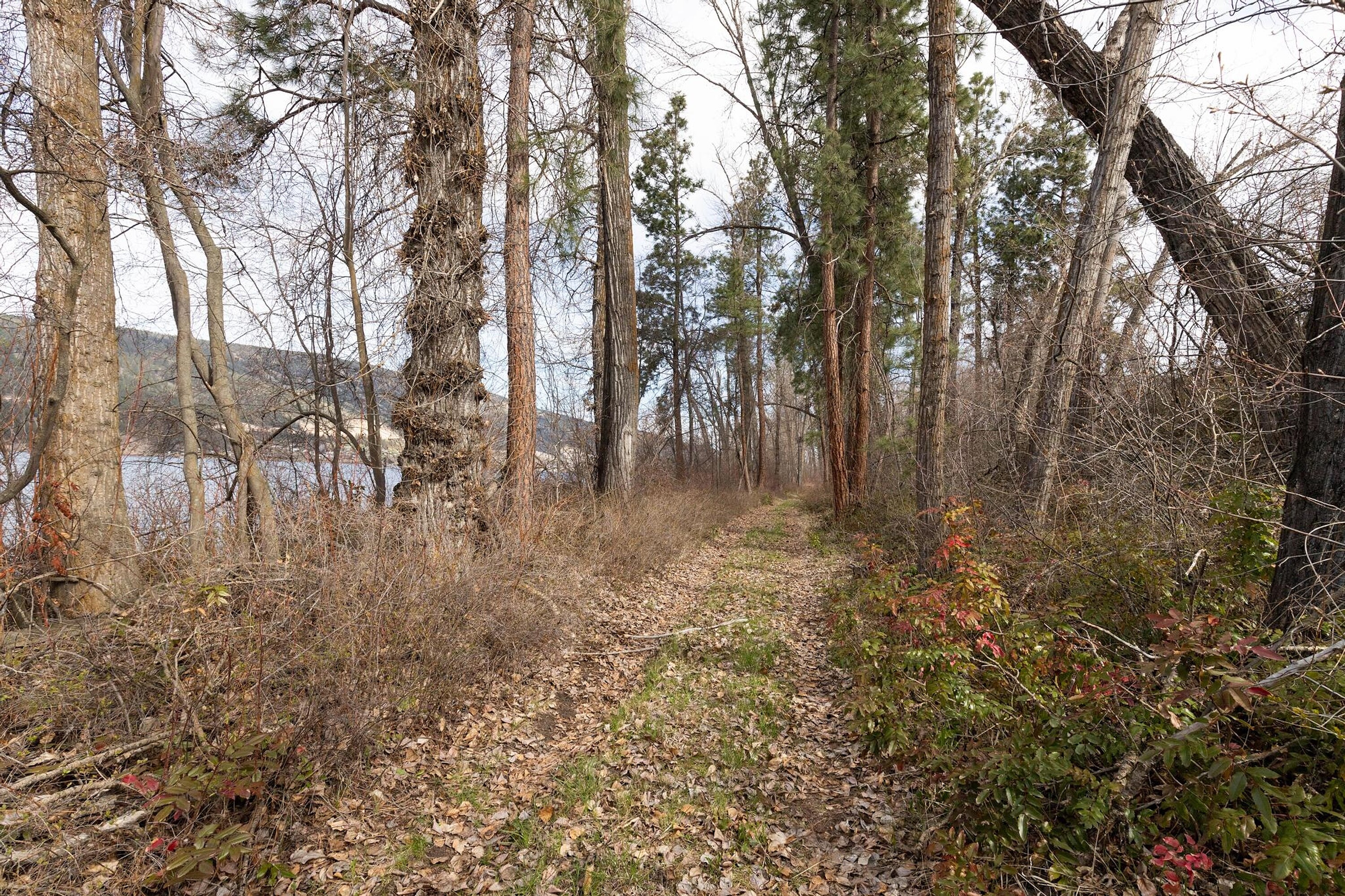  Lakeshore Parcel in Oyama - 物件實景