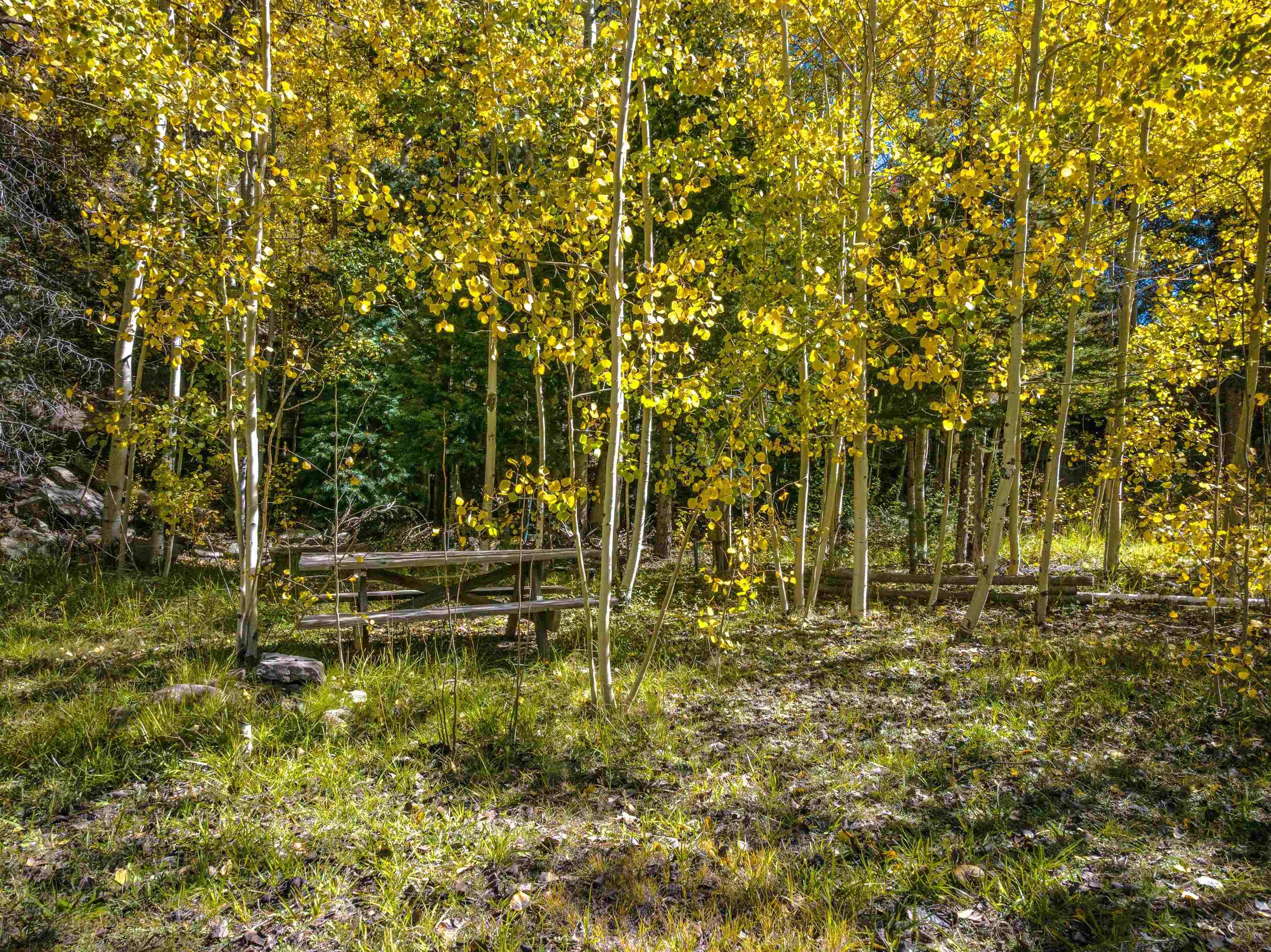 Tres Ritos, New Mexico, 87579, United States, ,Residential,For Sale,1986335