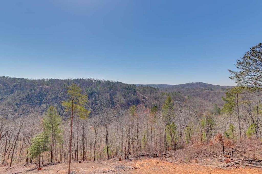 Ellijay, Georgia, 30540, United States, 3 Bedrooms Bedrooms, ,3 BathroomsBathrooms,Residential,For Sale,1859114