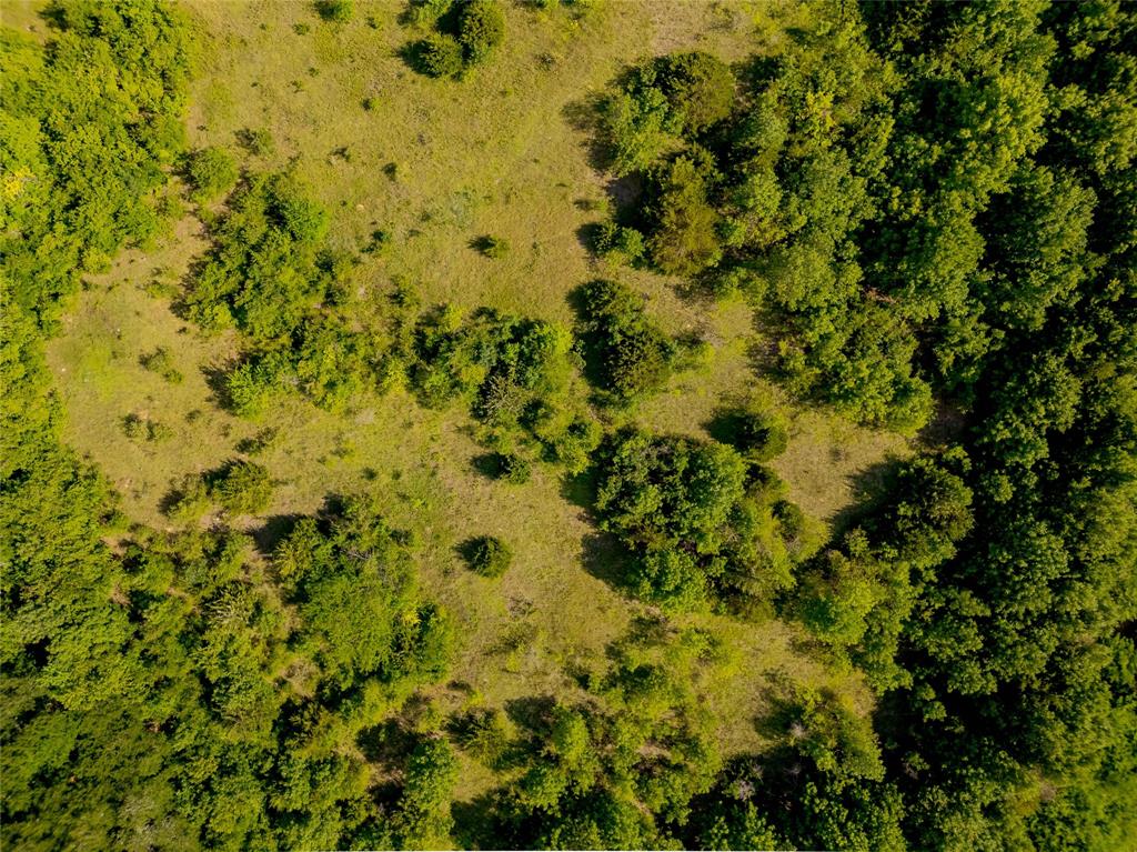 Anna, Texas, 75409, United States, ,Land,For Sale,1918003
