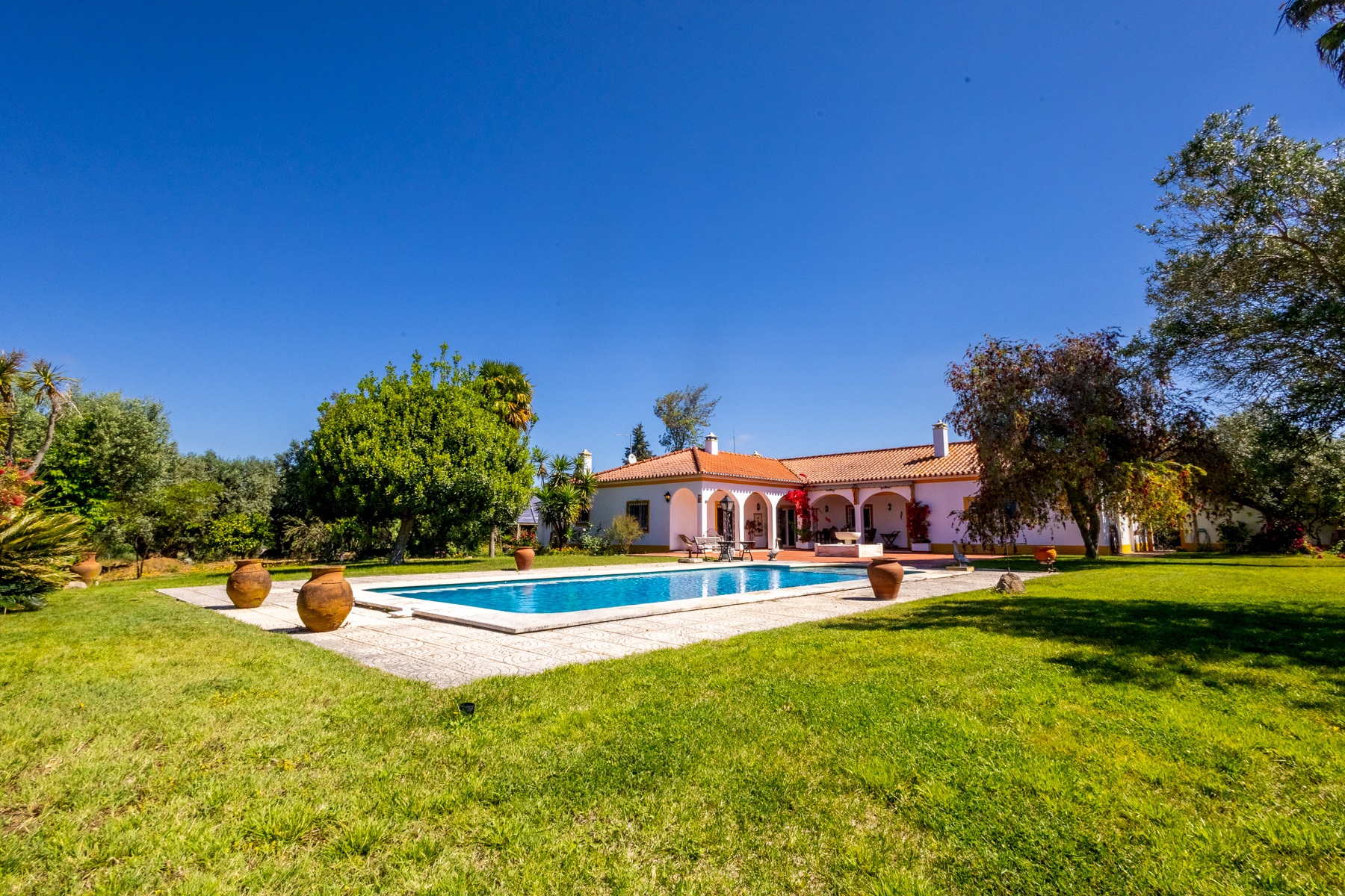  Farm, 5 bedrooms, for Sale - 物件實景