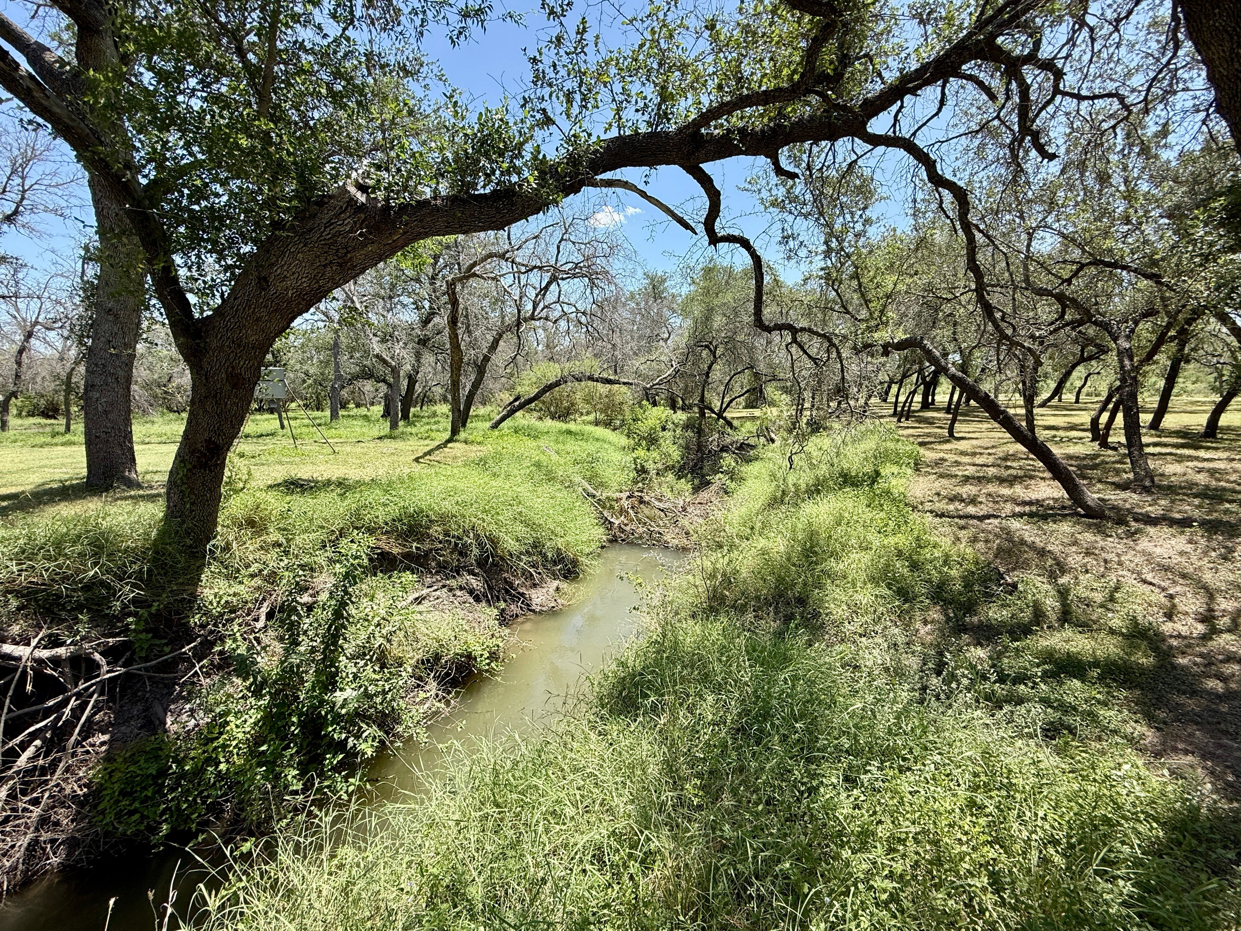  7, 902 +/- Las Moras Creek - 物件實景