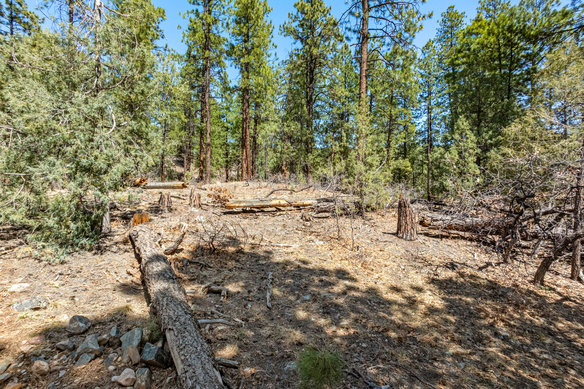  91 Ambush Canyon, Durango, CO 81301 - 物件實景