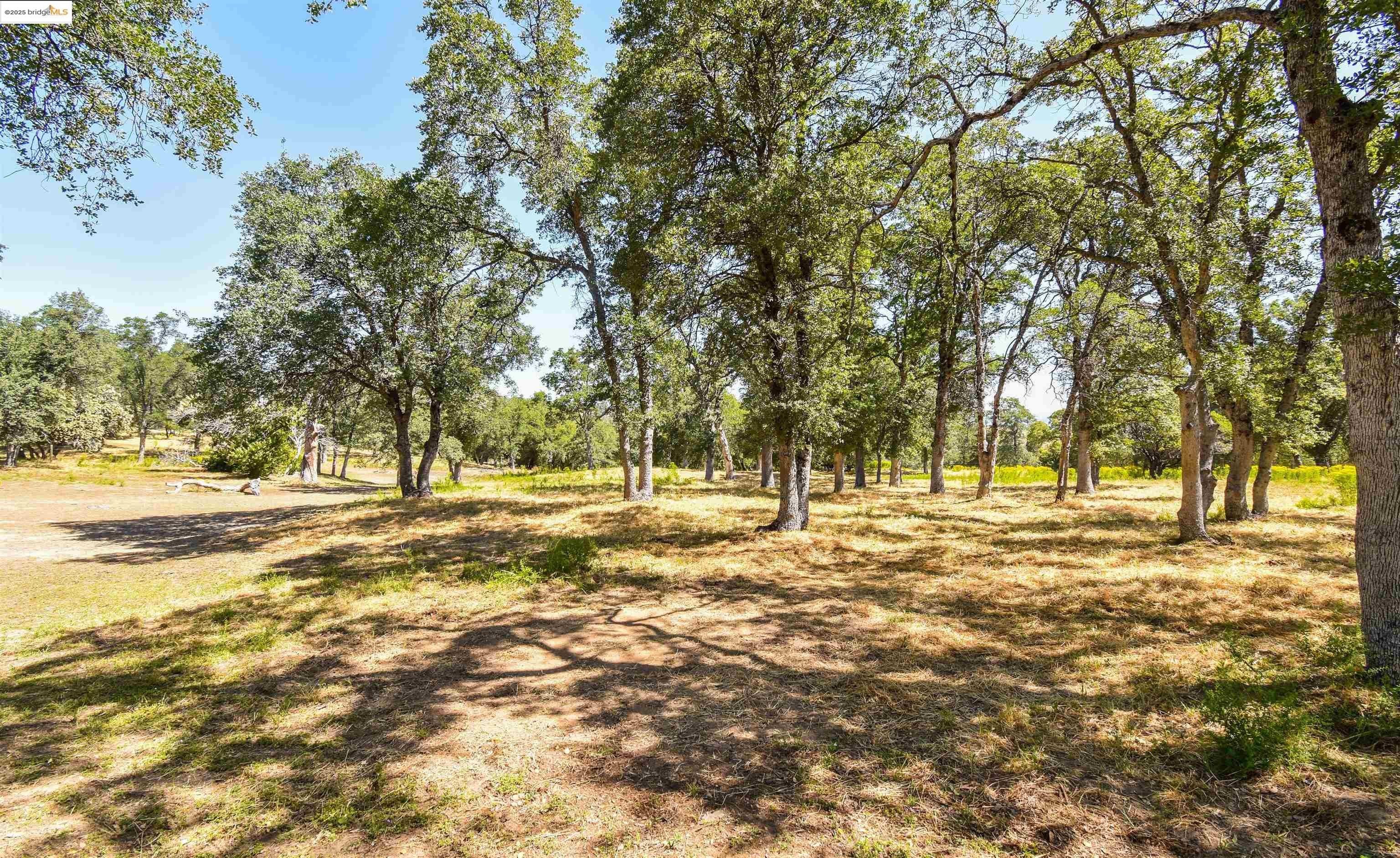 Sonora, California, 95370, United States, 4 Bedrooms Bedrooms, ,4 BathroomsBathrooms,Residential,For Sale,1846980