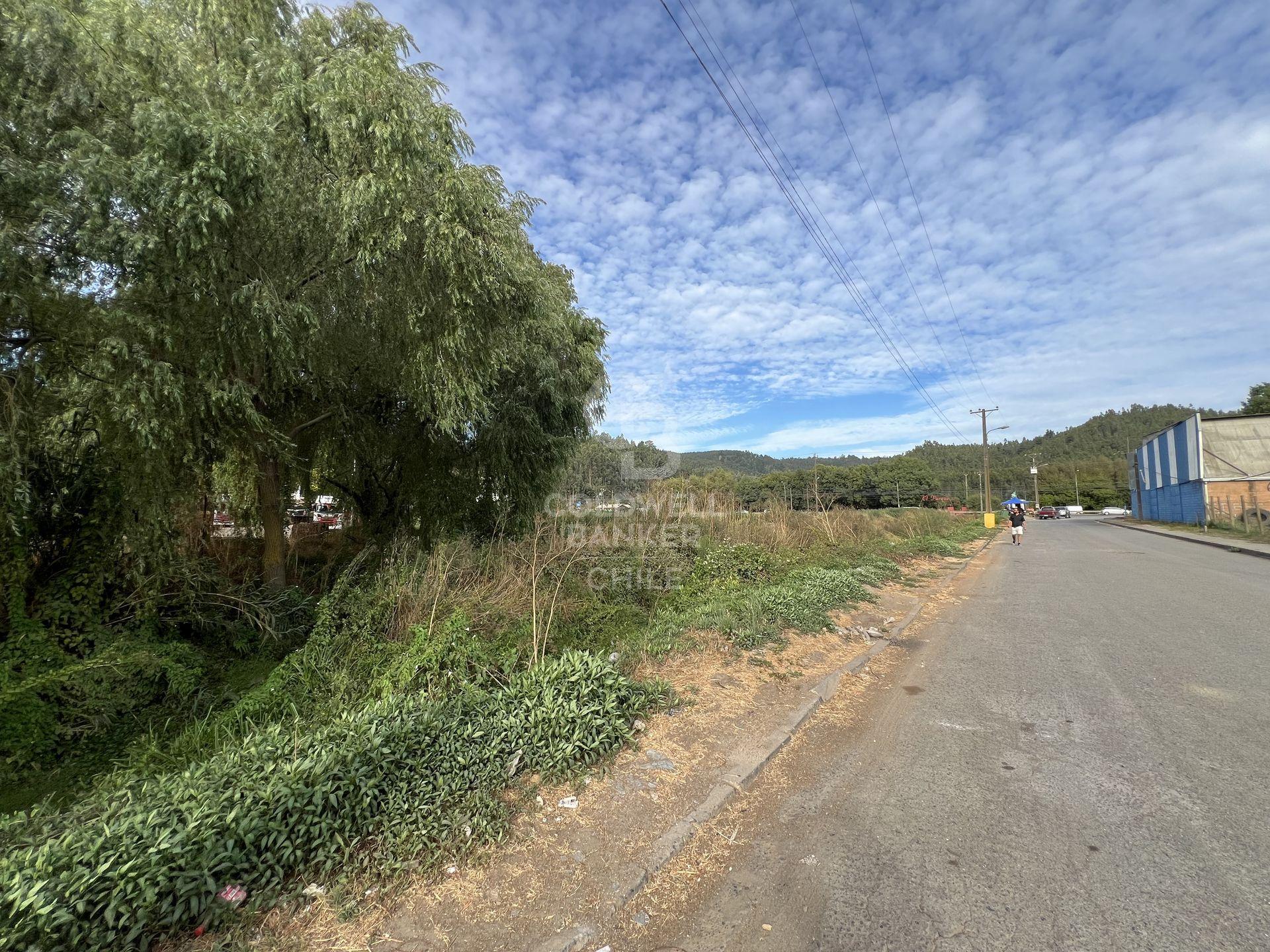 Penco, Chile, ,Land,For Sale,1957029
