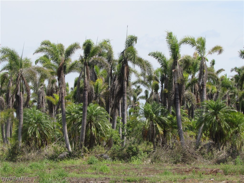 13350 Stringfellow Road, Bokeelia, Florida, 33922, United States, ,Residential,For Sale,13350 Stringfellow Road,1239470