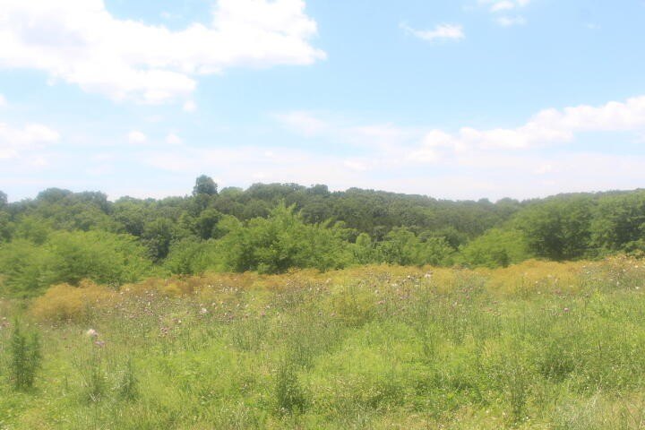 Polk, Missouri, 65727, United States, ,Land,For Sale,1980569