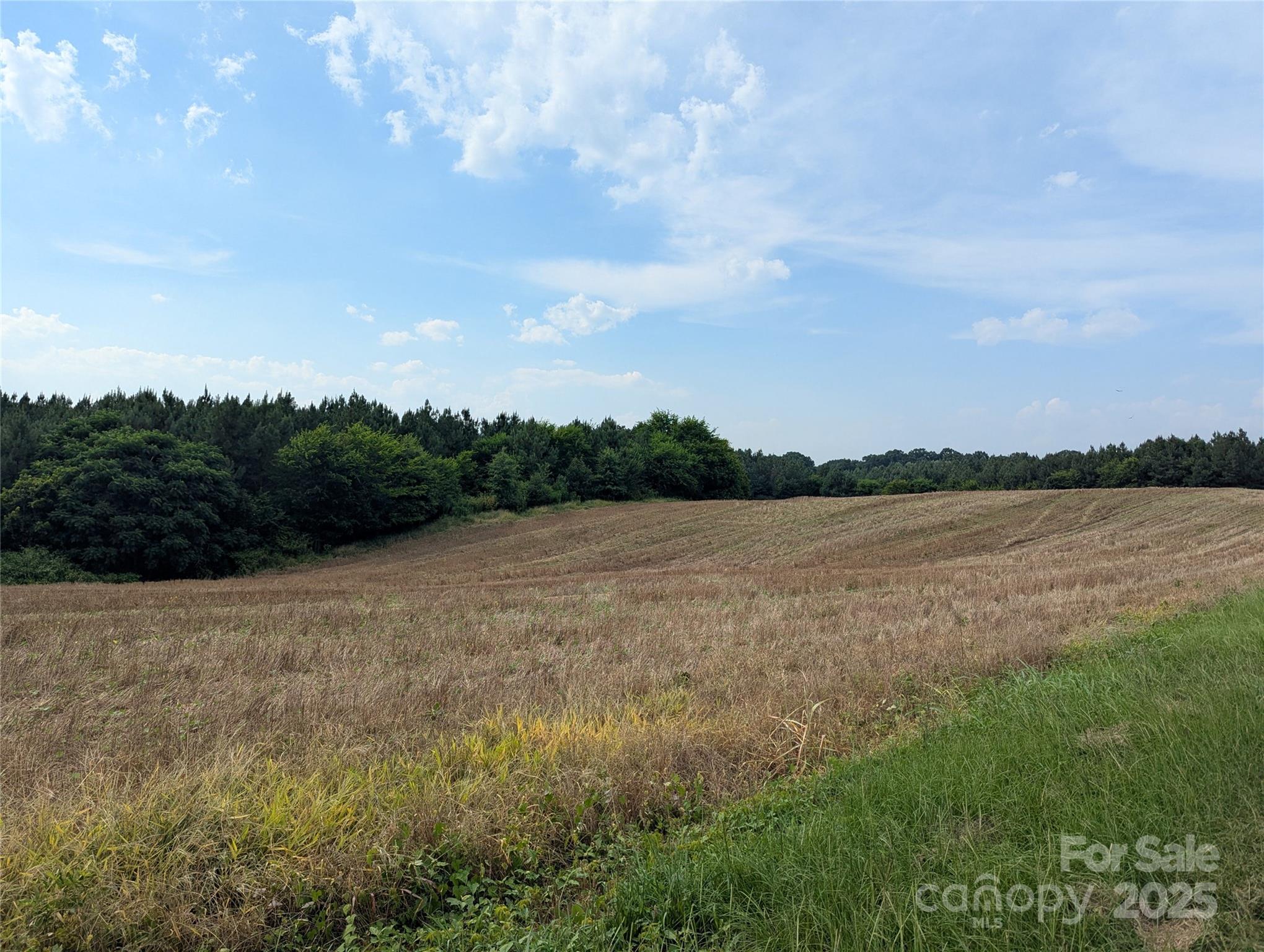 Polkton, North Carolina, 28135, United States, ,Land,For Sale,1976298