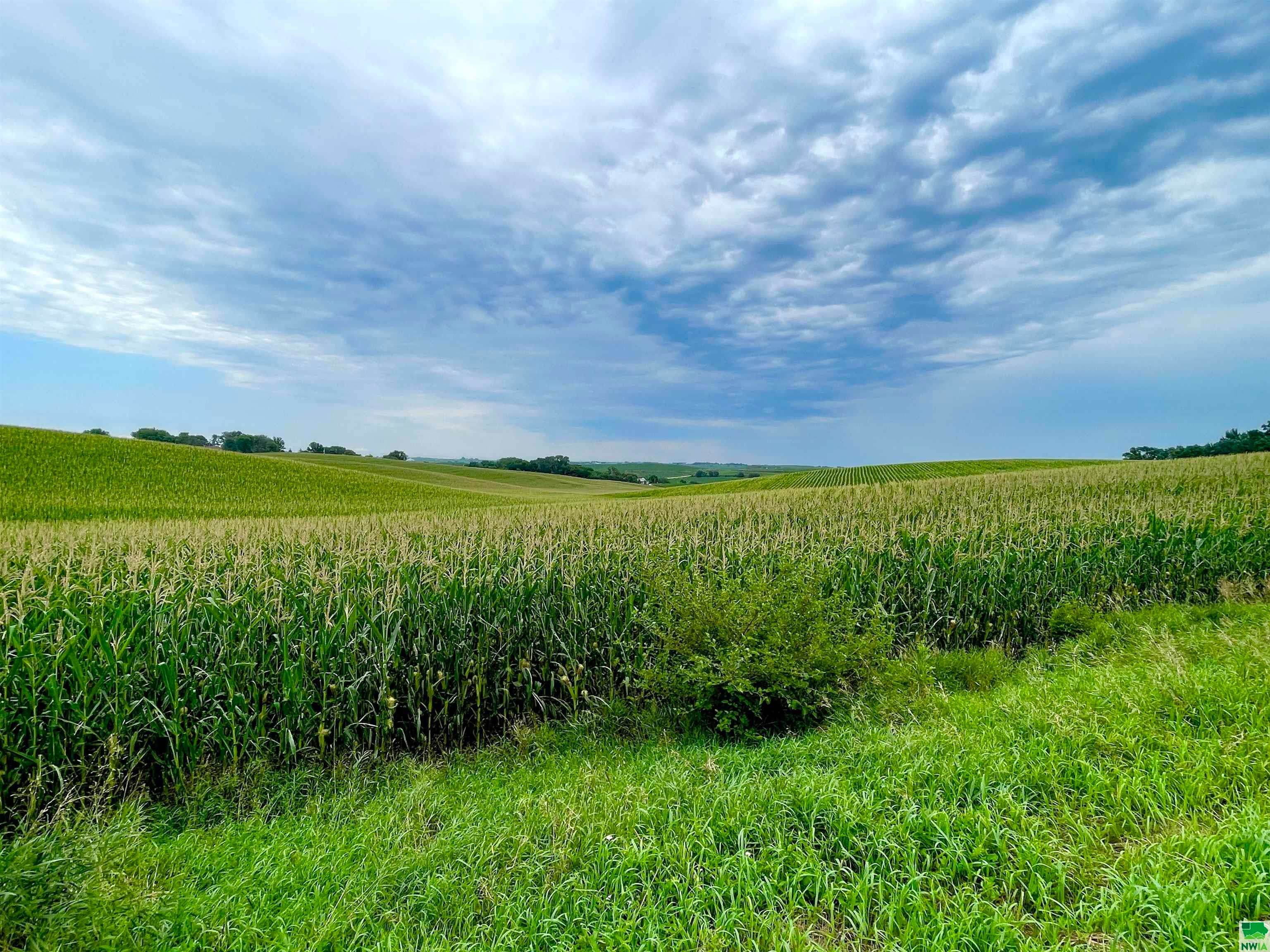TBD Old Hwy 141, Sergeant Bluff, Iowa, 51054, United States, ,Residential,For Sale,TBD Old Hwy 141,1437787