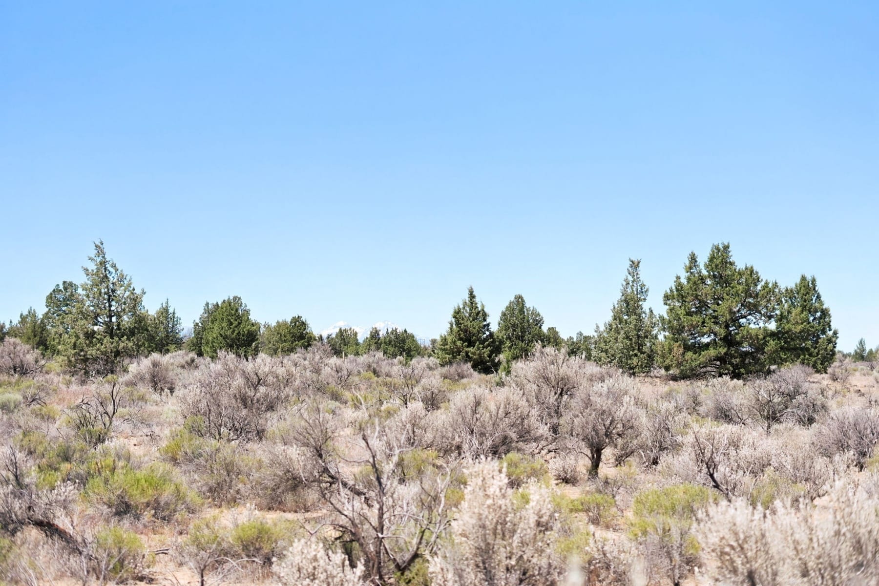 17189 SW Chaparral Drive #Homesite 397 Powell Butte, OR 97753 - 物件實景