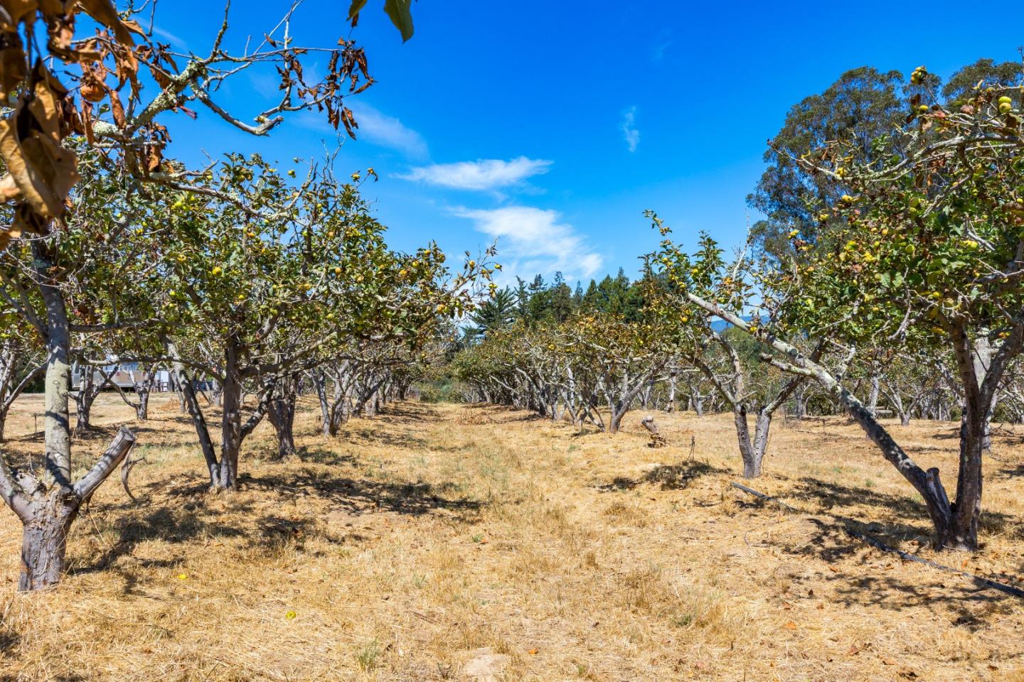 Watsonville, California, 95076, United States, ,Land,For Sale,1942111