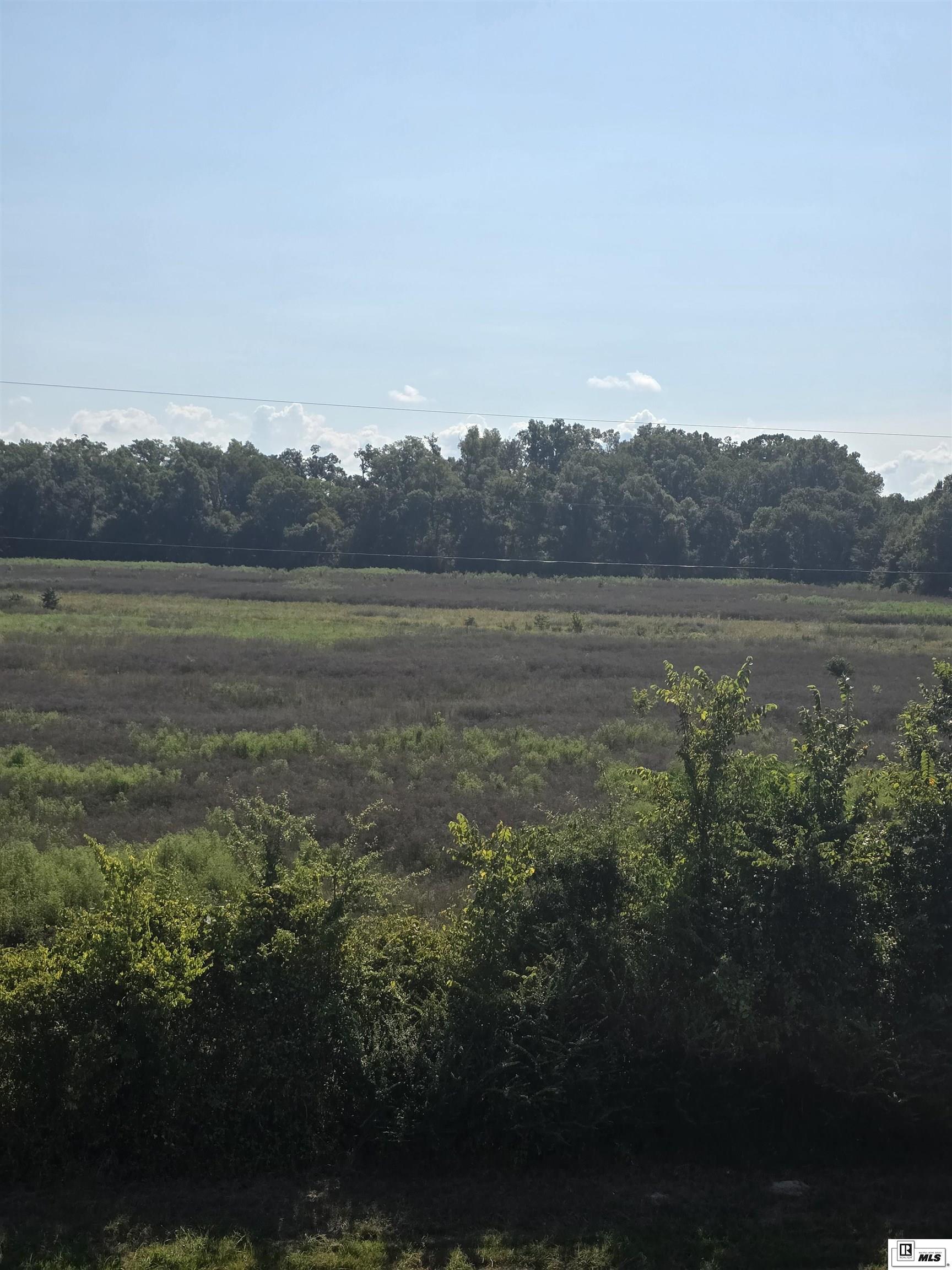 Rayville, Louisiana, 71269, United States, ,Residential,For Sale,1916667