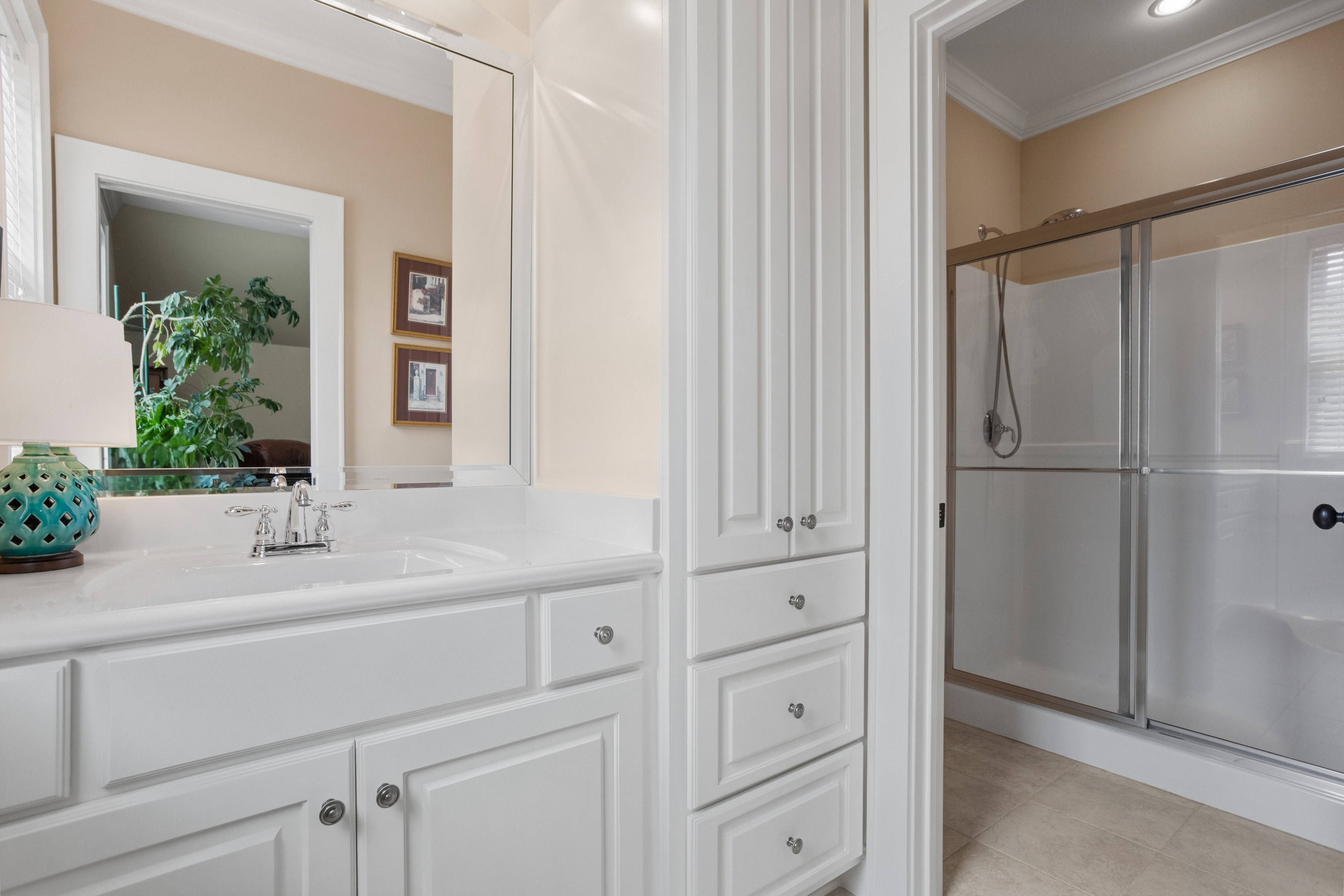  16 Willow Springs Drive, Greenville, SC 29607 - 物件實景