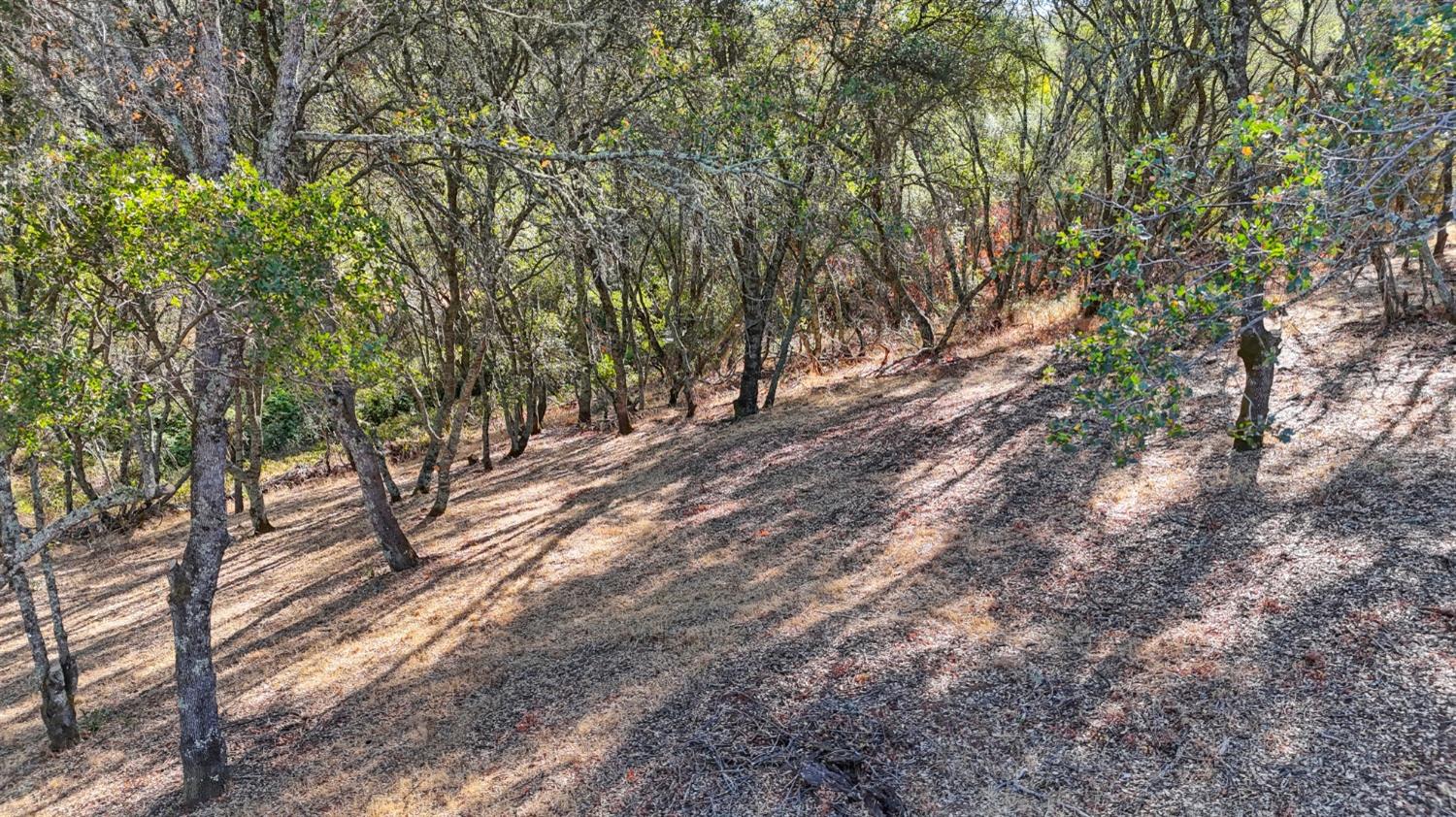 El Dorado Hills, California, 95762, United States, ,Land,For Sale,1993227