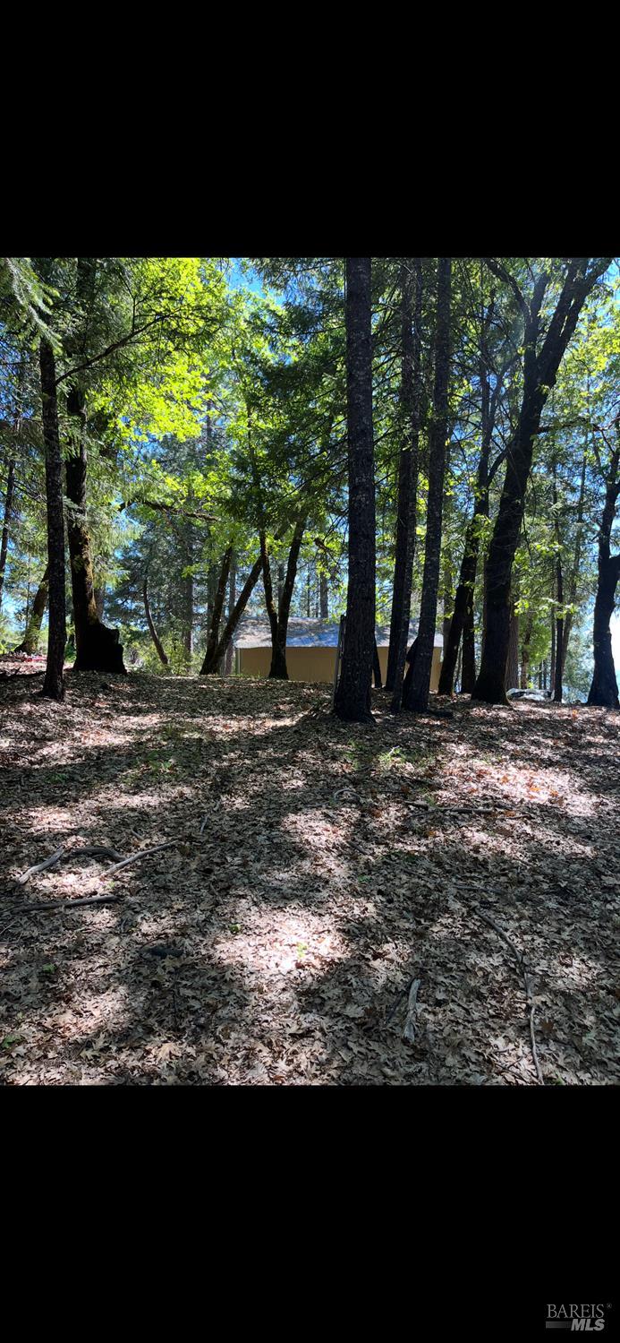 Covelo, California, 95428, United States, ,Land,For Sale,1868572