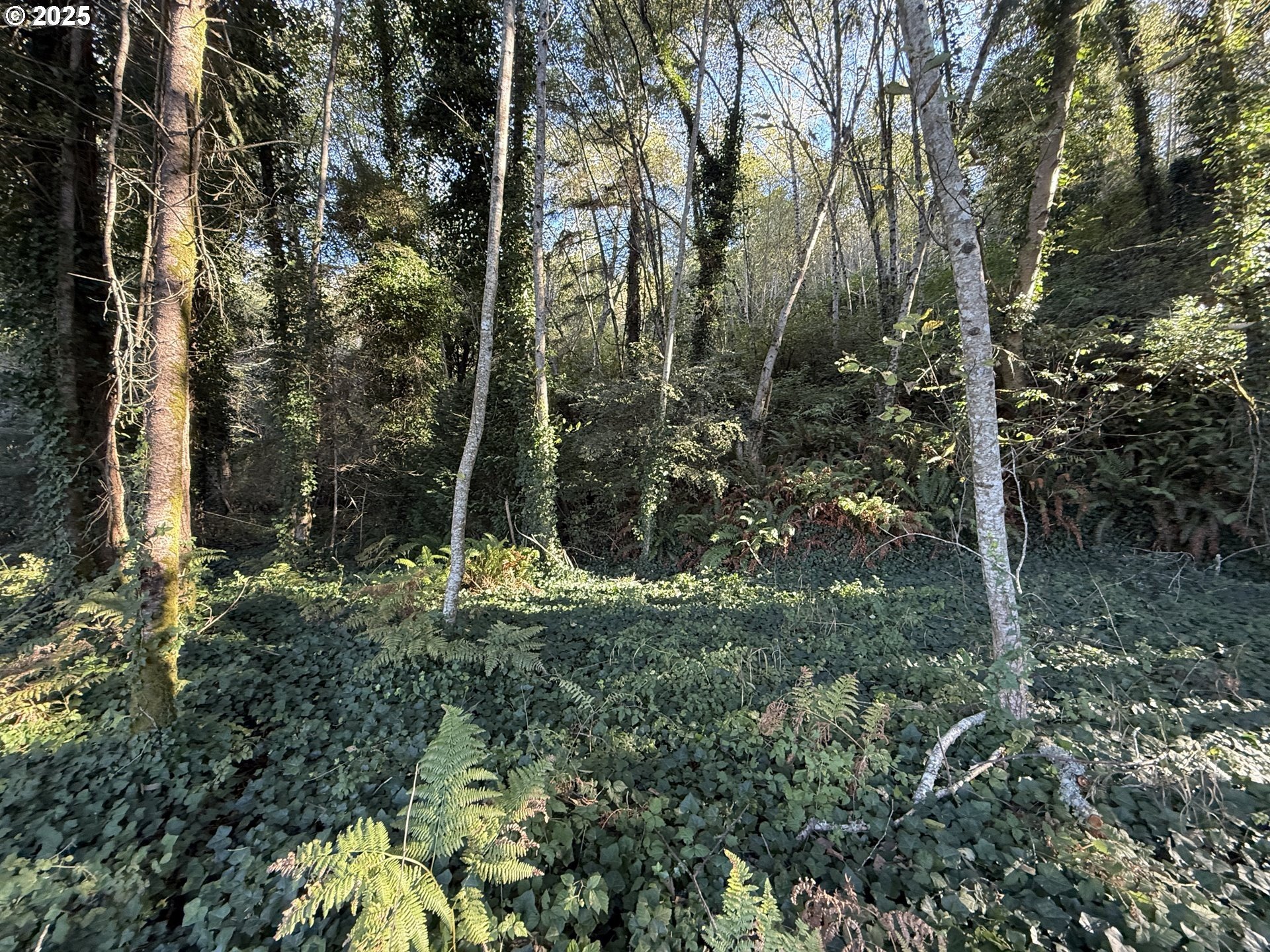 Brookings, Oregon, 97415, United States, 3 Bedrooms Bedrooms, ,2 BathroomsBathrooms,Residential,For Sale,1980160