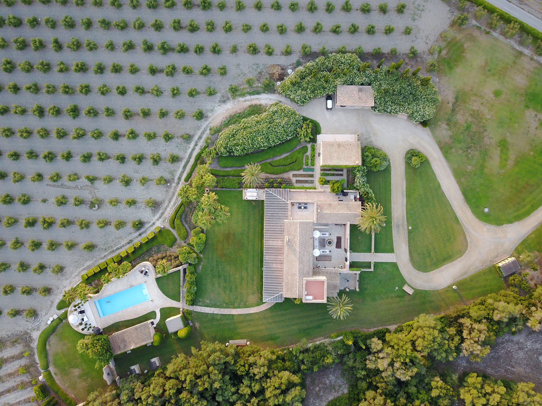  Authentic Majorcan estate with pool near Montuïri - 物件實景