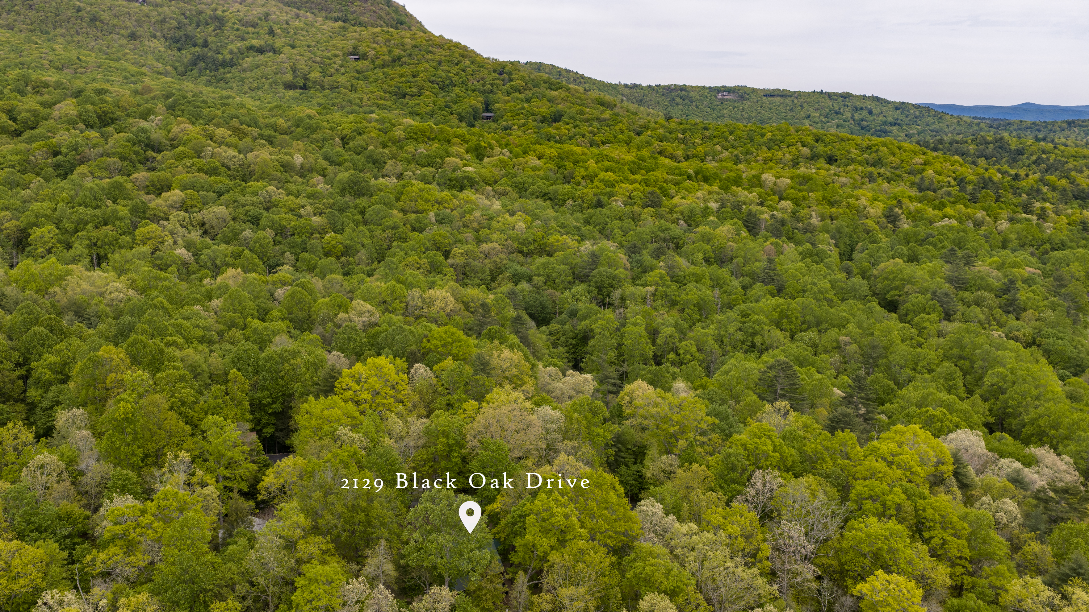  2129 Black Oak Drive - 物件實景