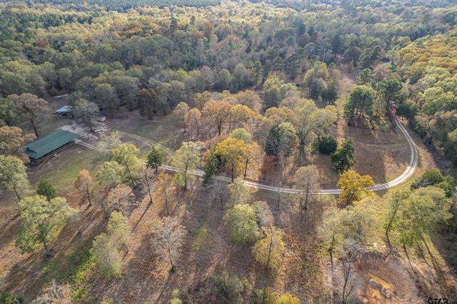 Winona, Texas, 75792, United States, 4 Bedrooms Bedrooms, ,3 BathroomsBathrooms,Residential,For Sale,1996404